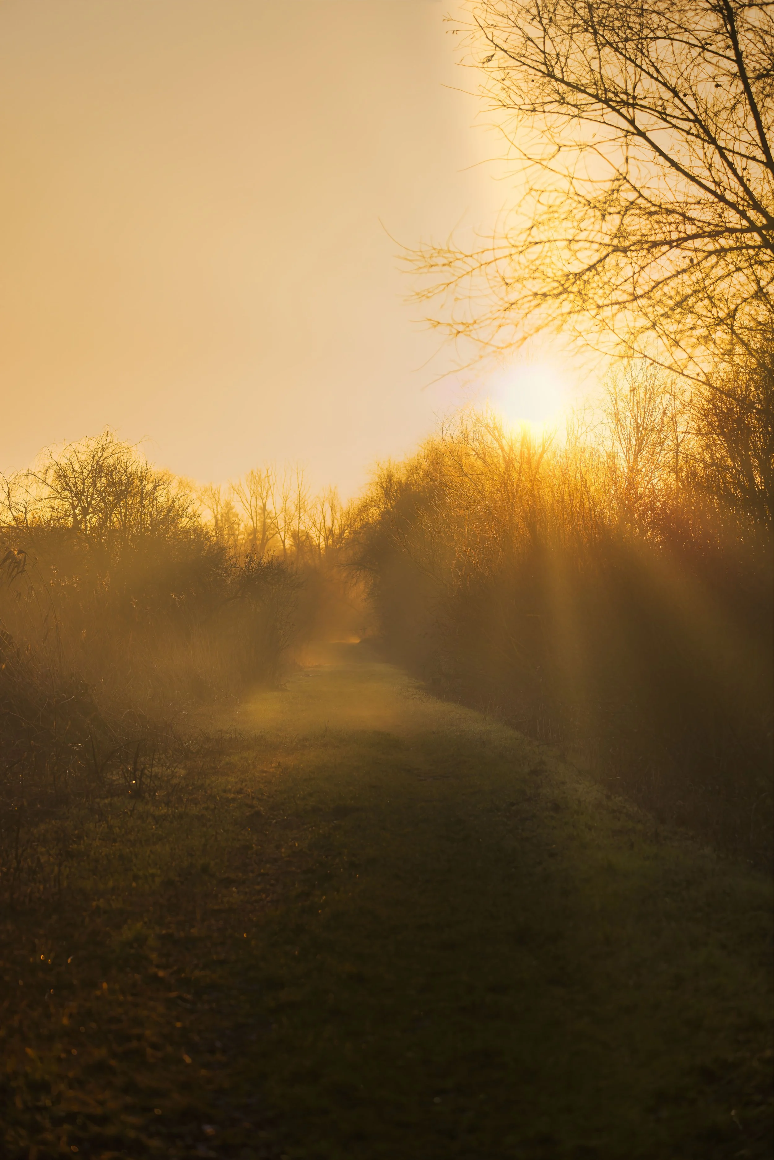 The Sunrise of the Soul (Proverbs 4:18)