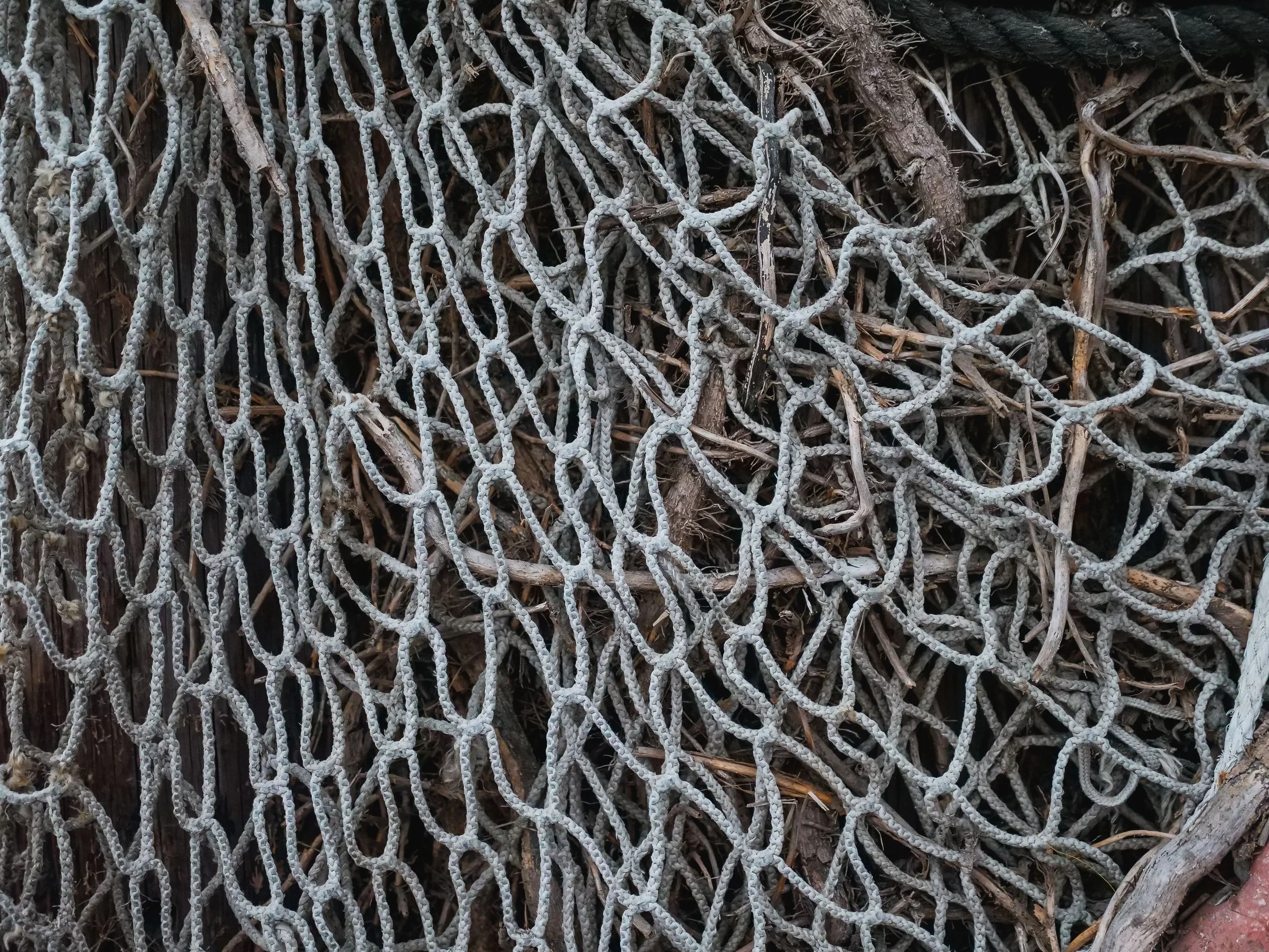 Grace That Breaks the Net (Proverbs 12:13)