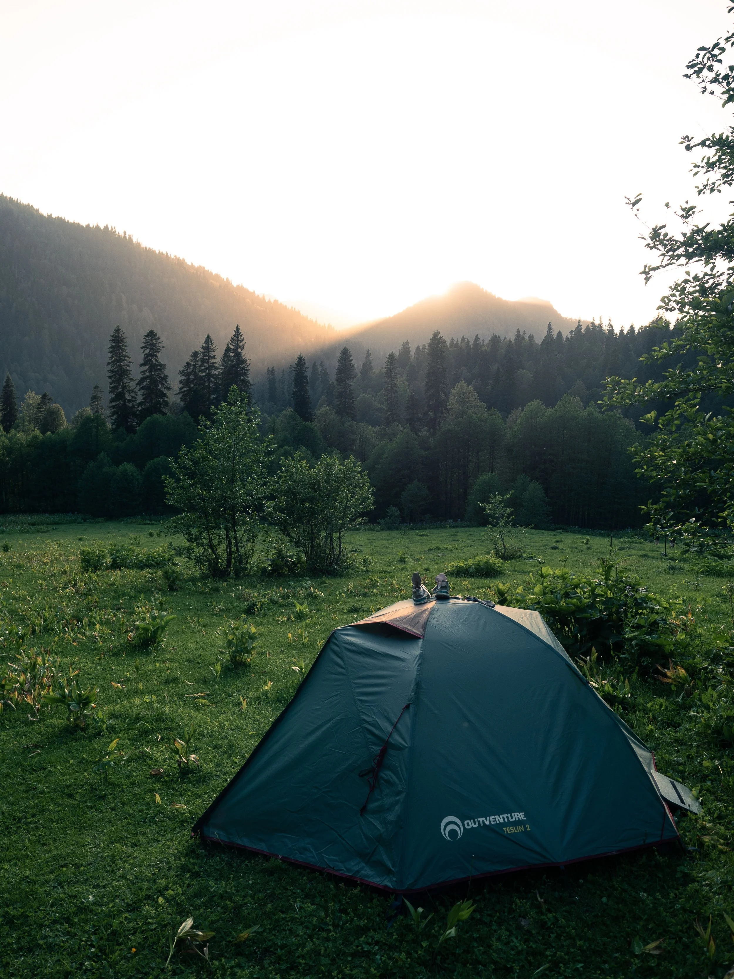 Thanksgiving in the Tent: Flourishing with God (Proverbs 14:11)