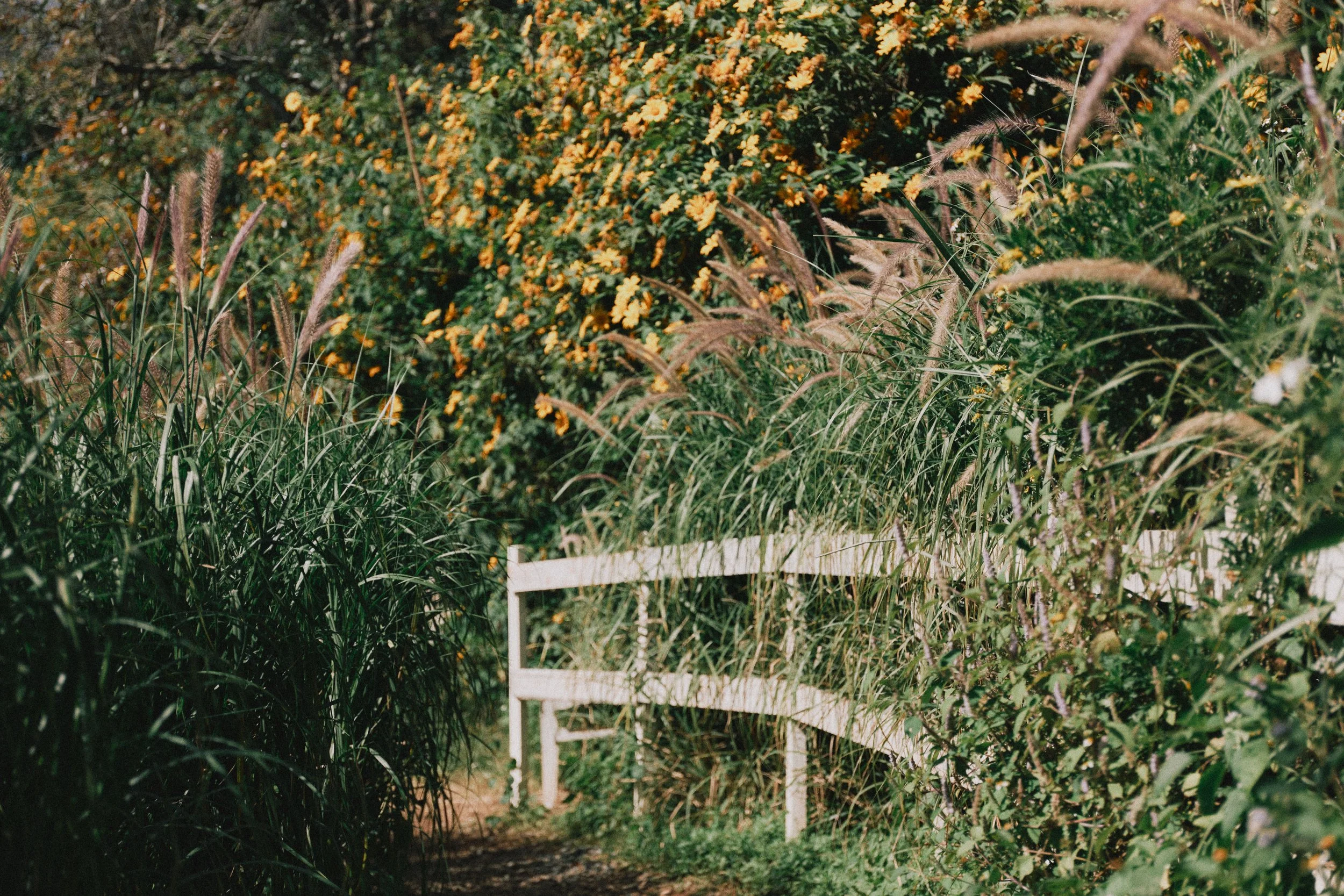 Why Boundaries Bless Us More Than We Realize (Proverbs 29:15)