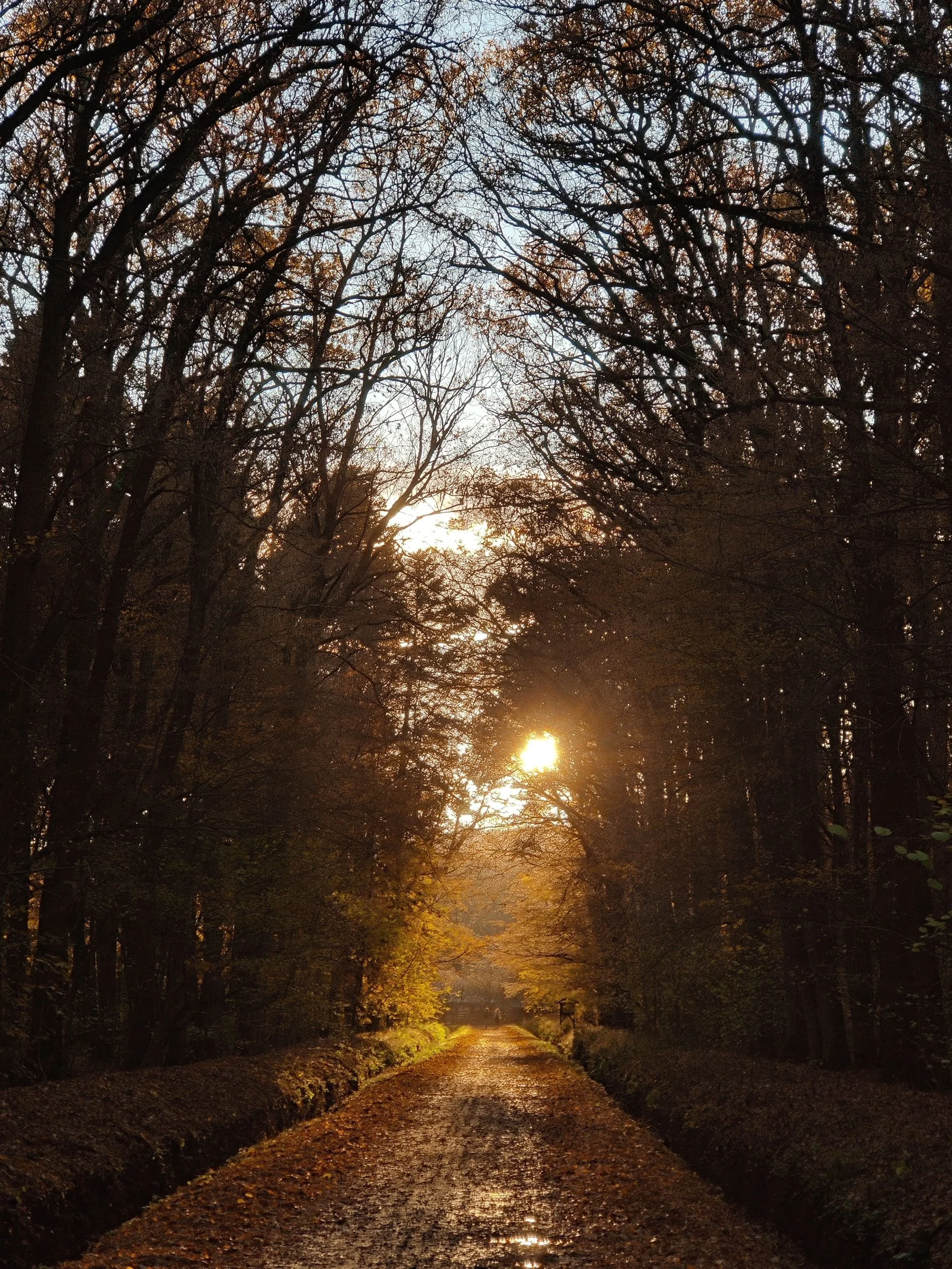 Guarding Your Soul for the Year Ahead (Proverbs 22:5)