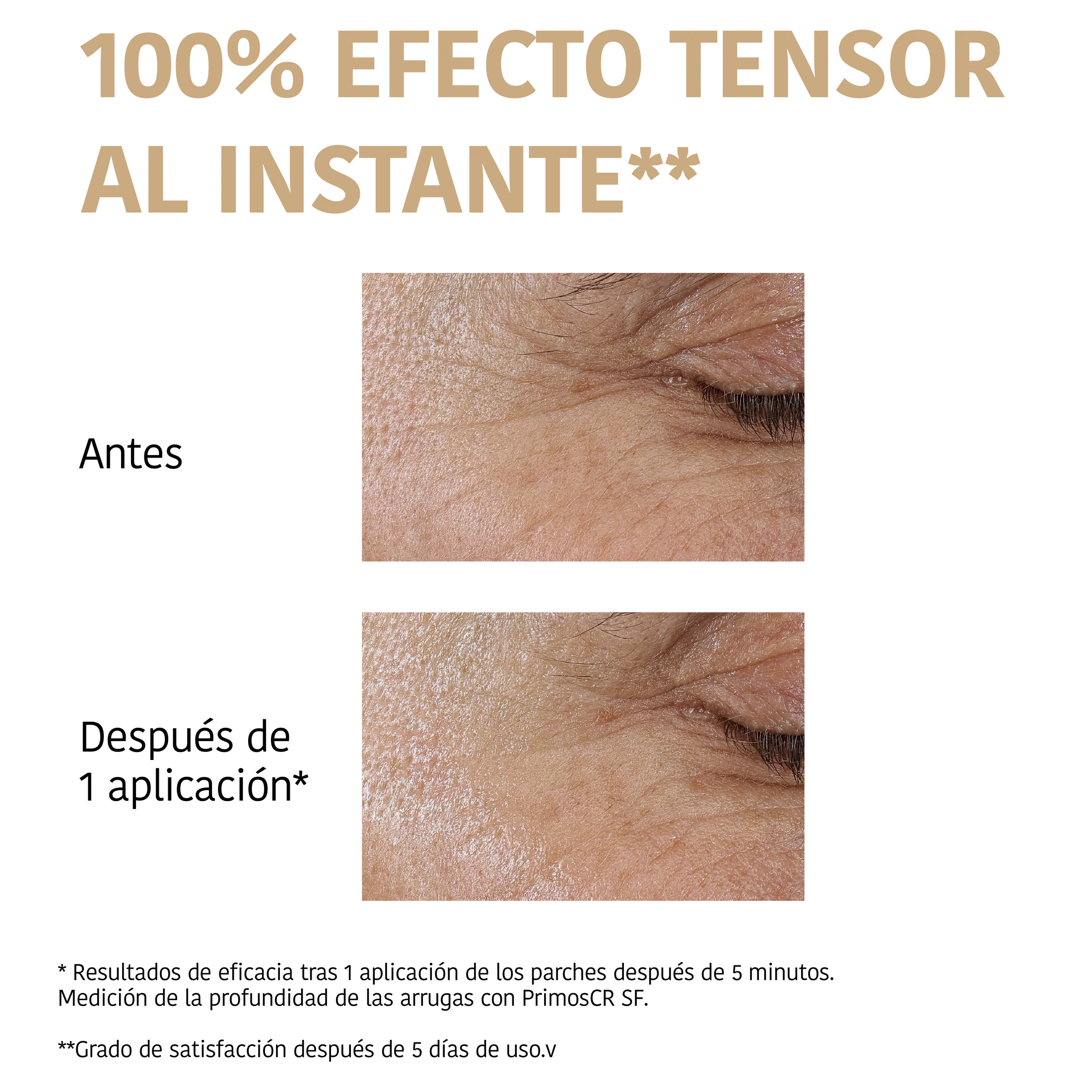 8436036437480_06.png
