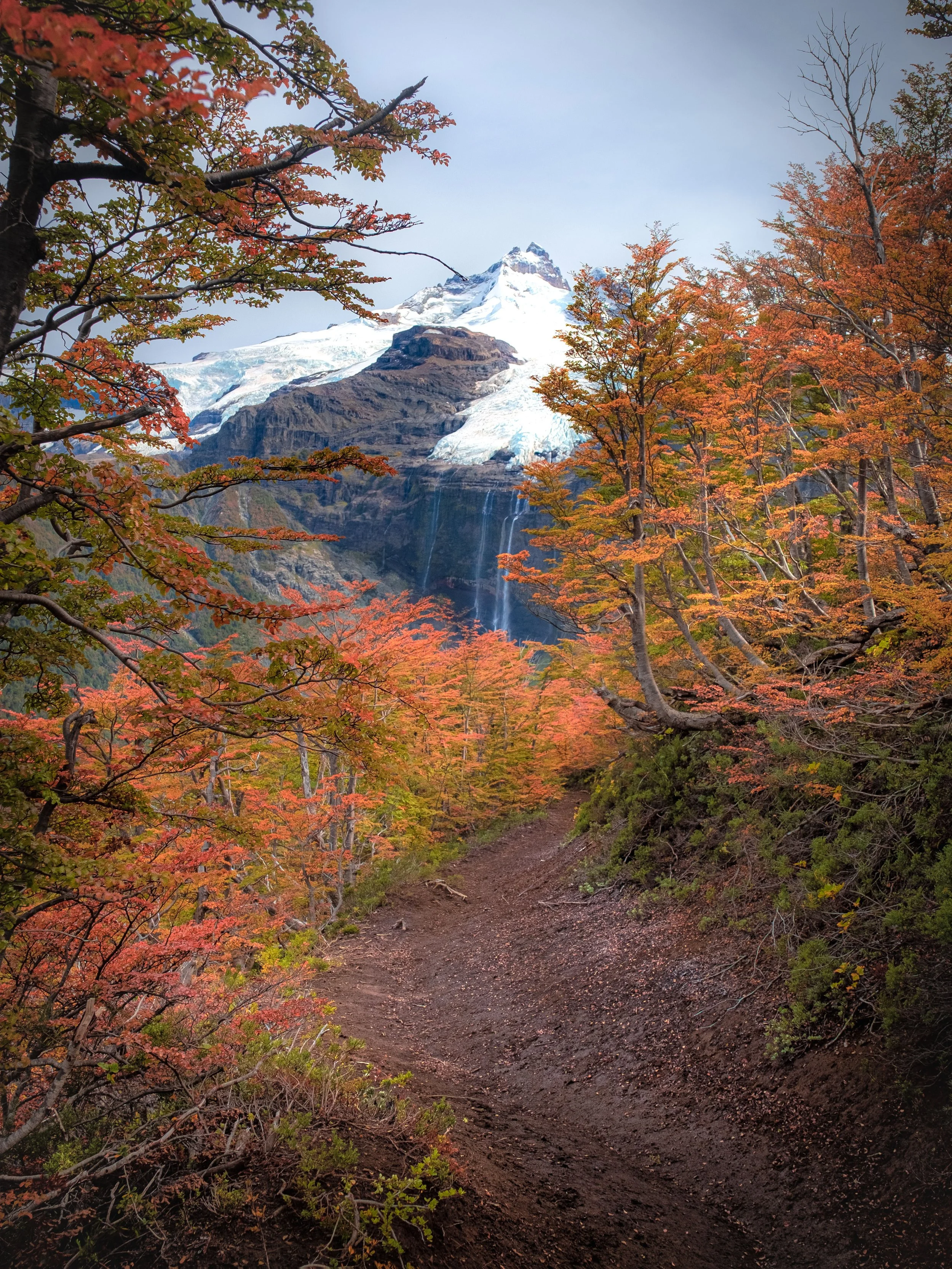 DSCF6524-Edit.jpg