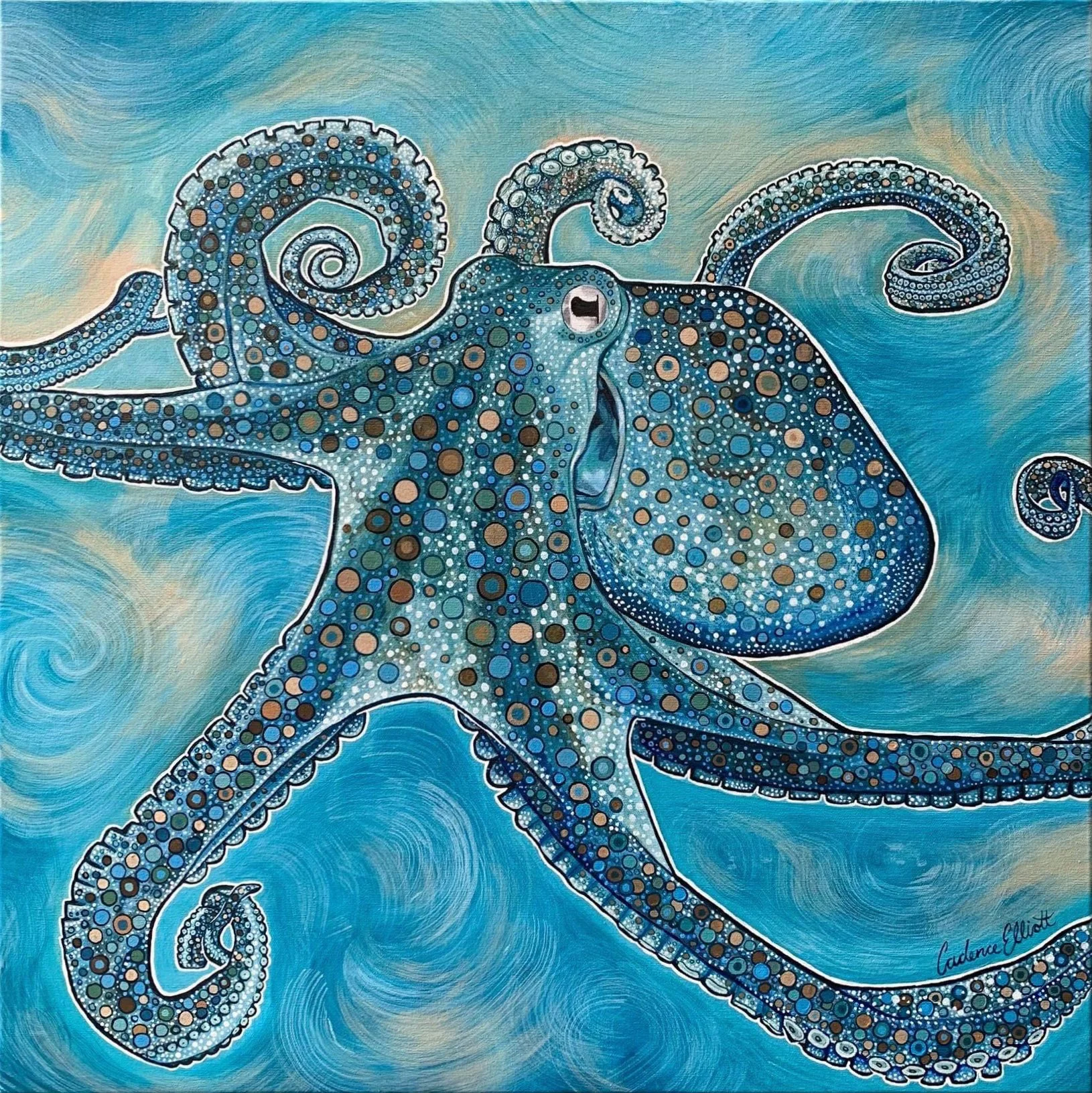 octo.jpg