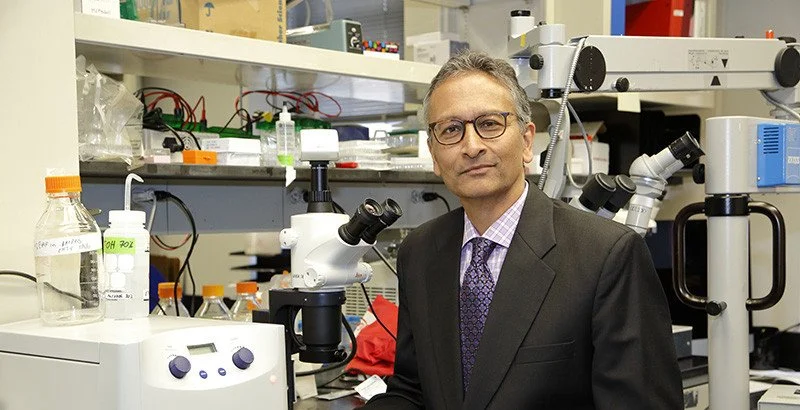 CUAFA President Dr. Anil K. Lalwani Receives 2026 ARO Innovator Award in Clinical Science