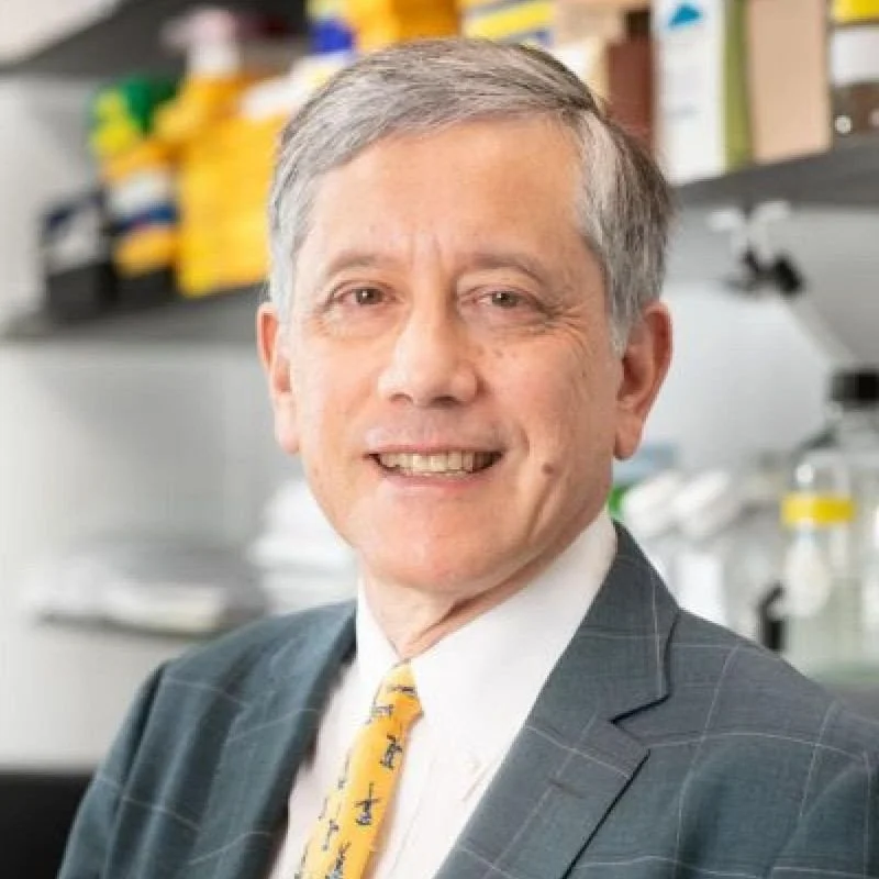 Dr. Timothy Wang Receives the 2025 HICCC Distinguished Award