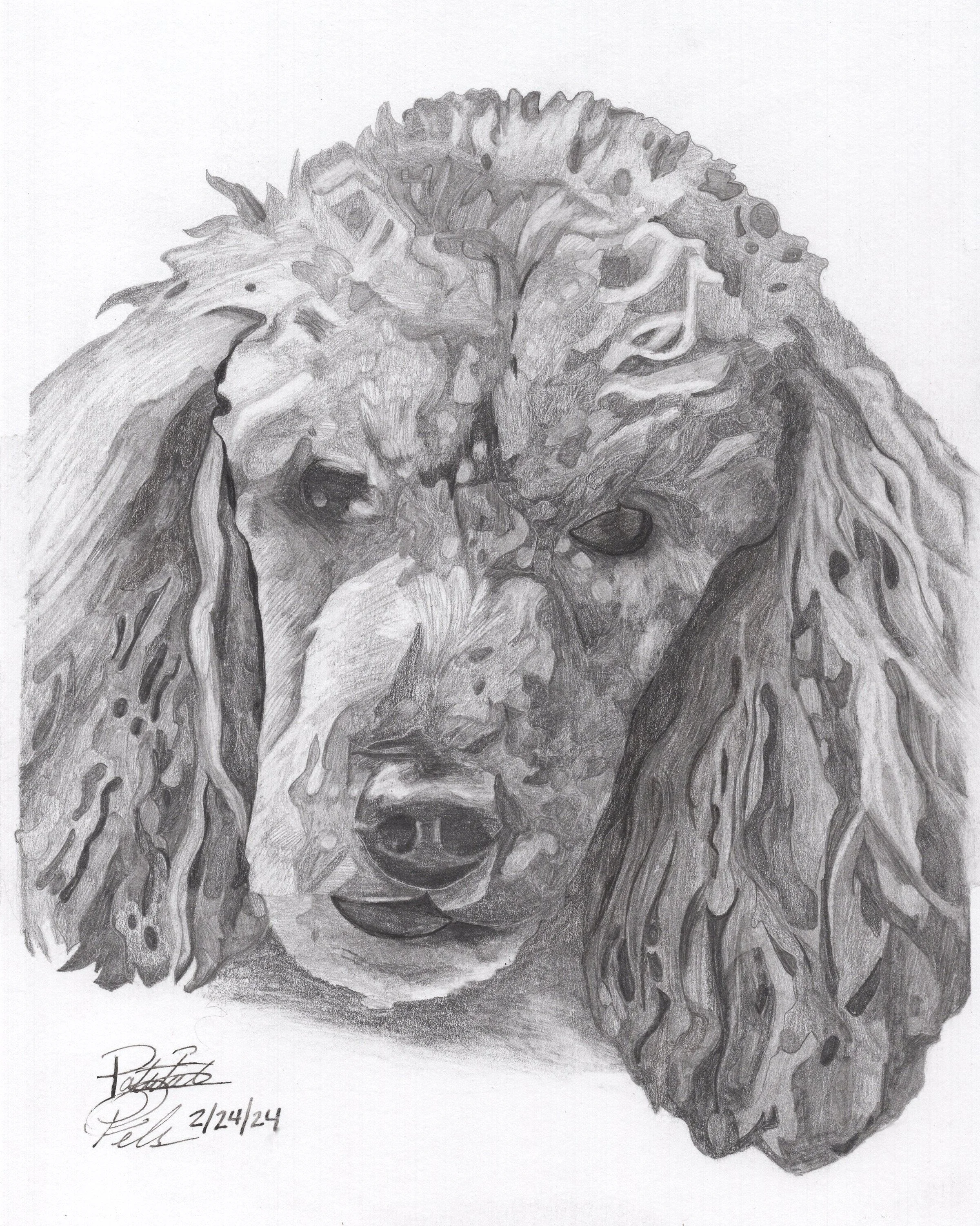 Piper's Portrait.jpg