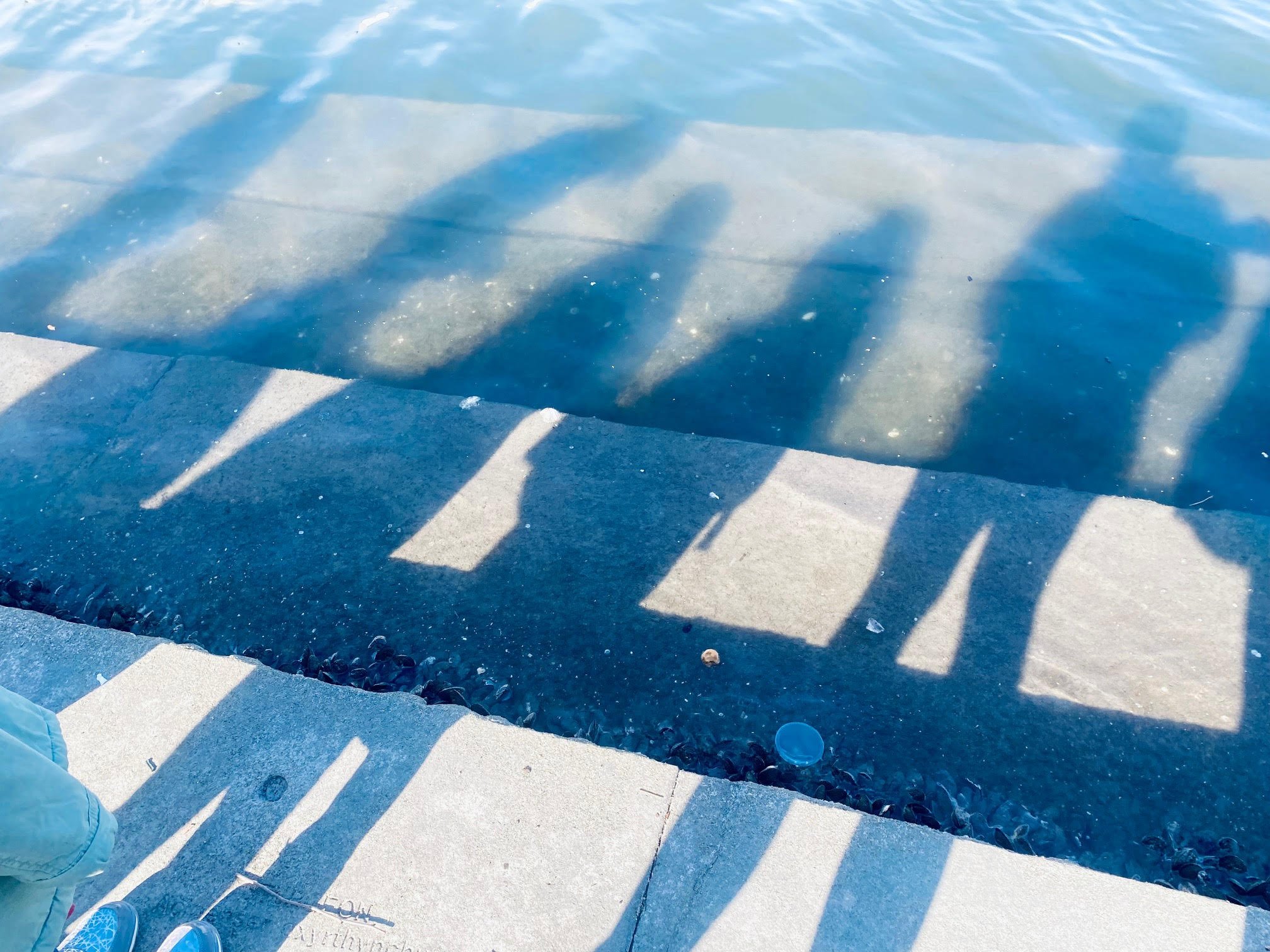 light_shadows_LENS_2025.jpg