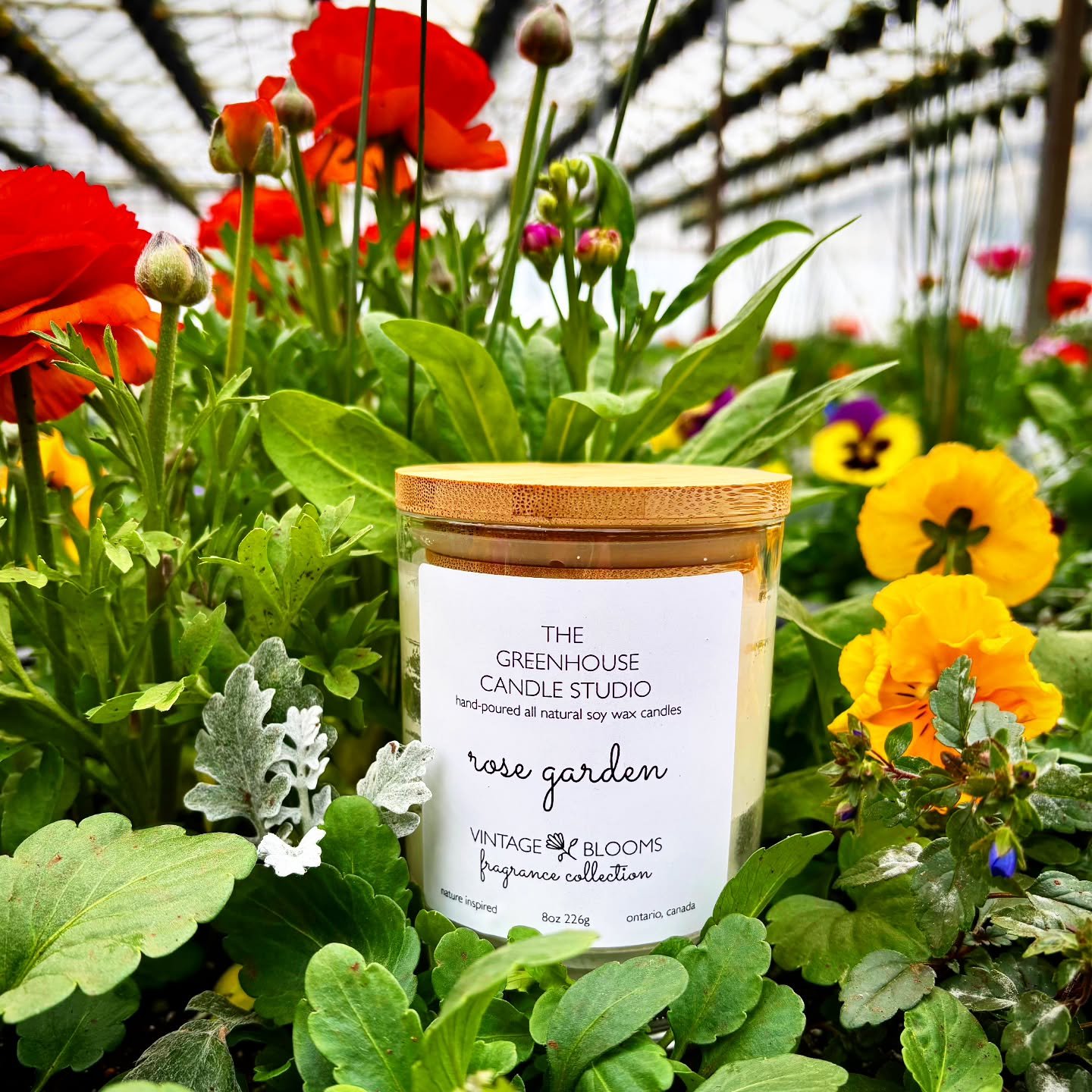 Rose Garden 🌹 has been one of our more popular scents this spring. The Vintage Blooms line is in full swing with this one. 🌱🌞🌹

Visit our shop at the link in the Bio.