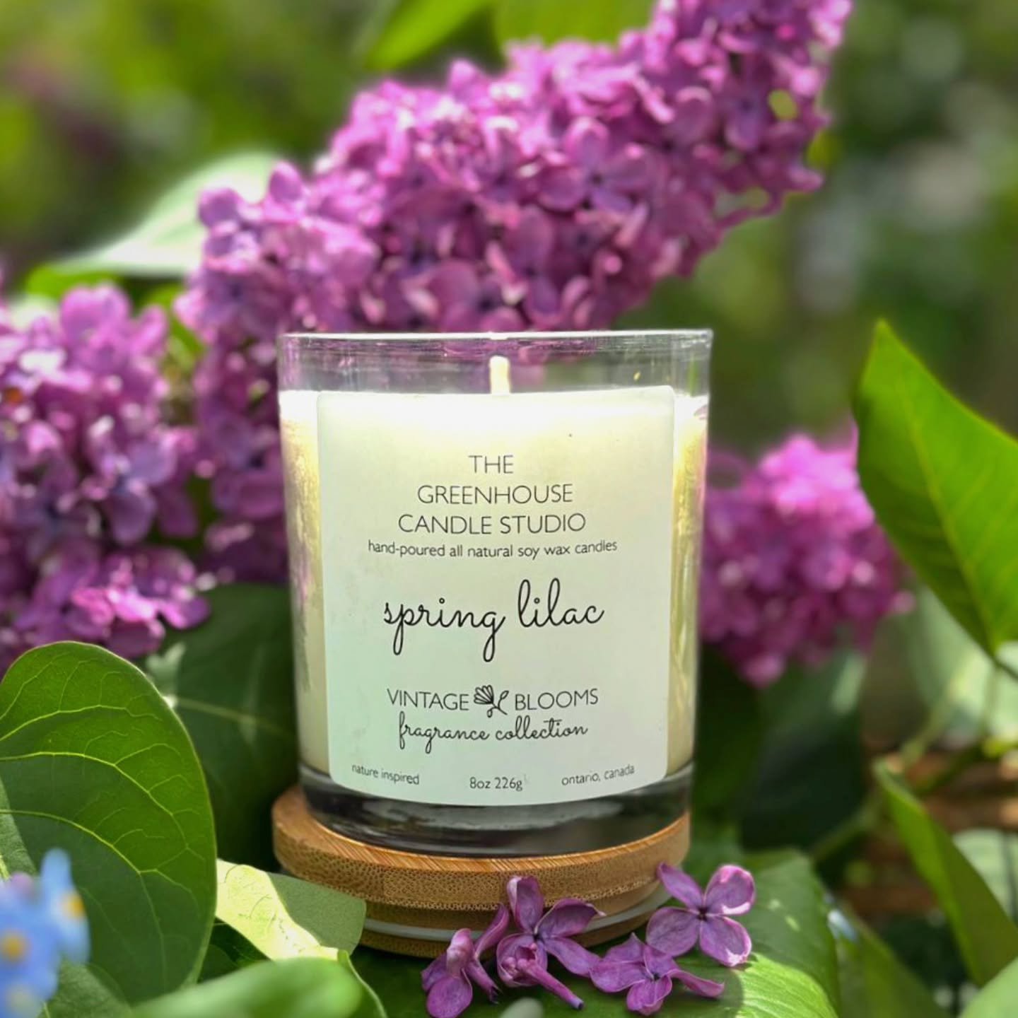 Spring Lilac is a lush,romantic flower with a sweet, powdery fragrance that fills the air in Spring!  Evoking nostalgia and elegance, Spring Lilac brings the charm of a blooming garden into any space. 🪻☀️

www.thegreenhousecandlestudio.com