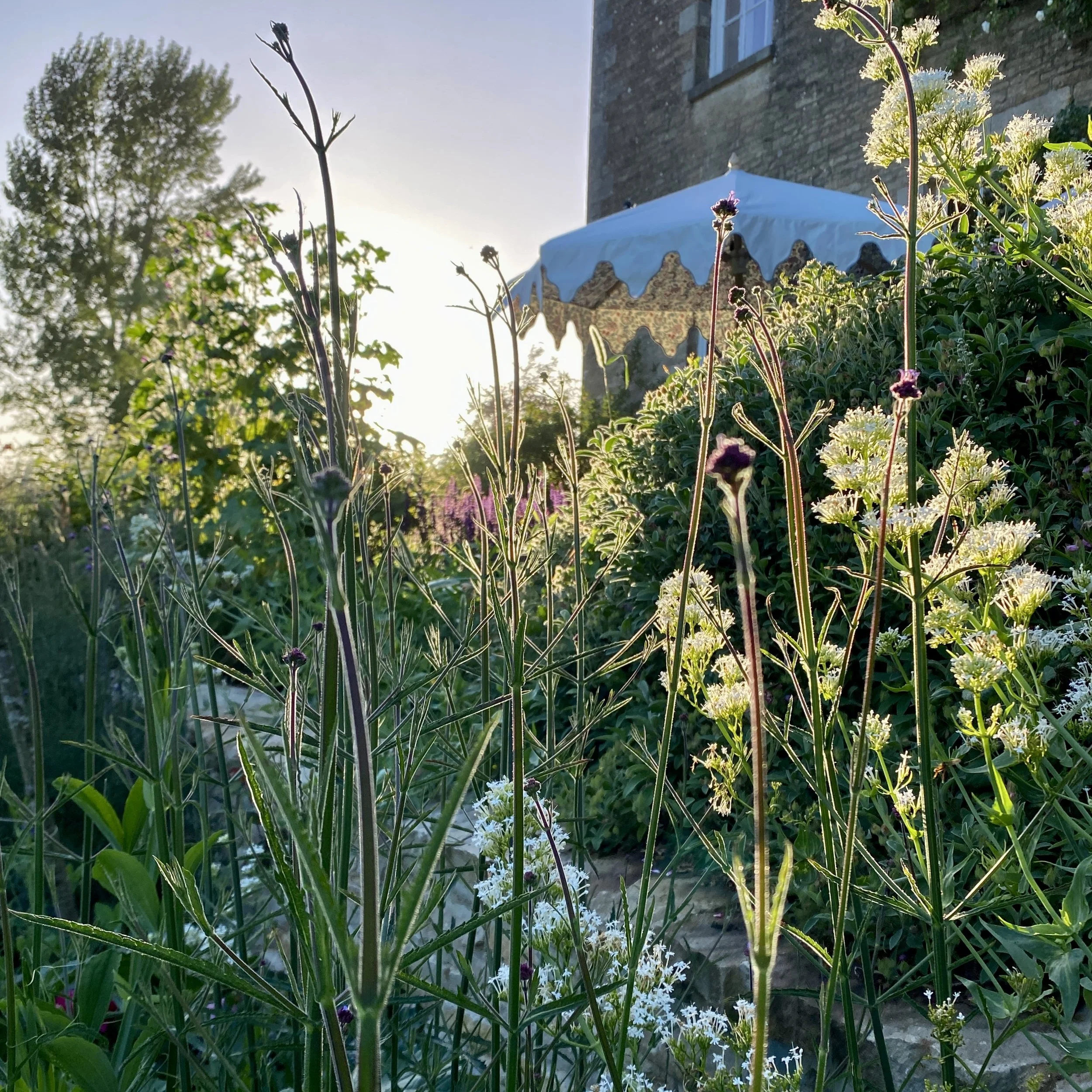 PROJECT PAGE IMAGE 2.JPG