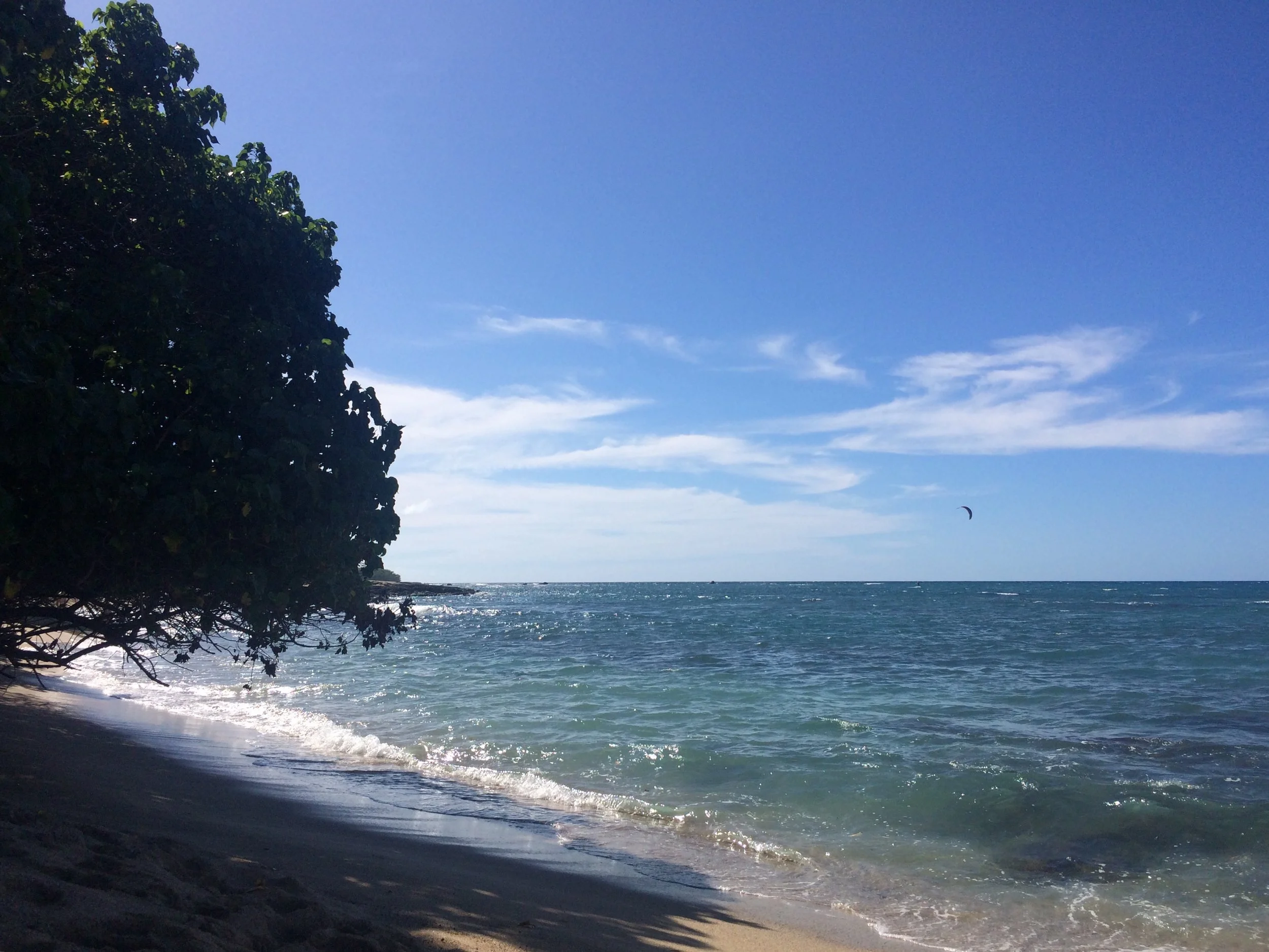 View of a beach with ocean waves, a tree on the left, a clear blue sky with some clouds, and a kite in the distance.