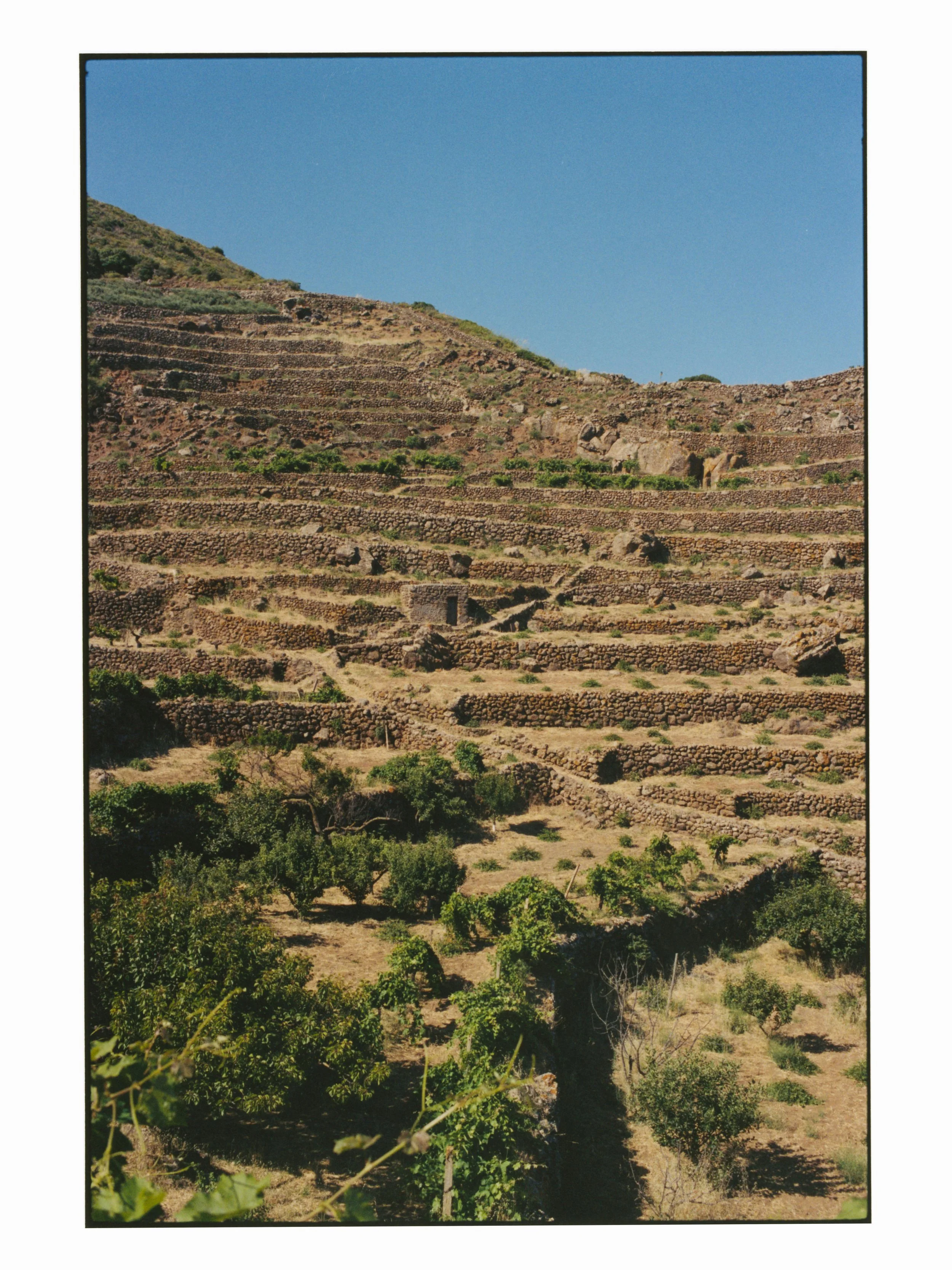 Anfiteatro Dei Capperi