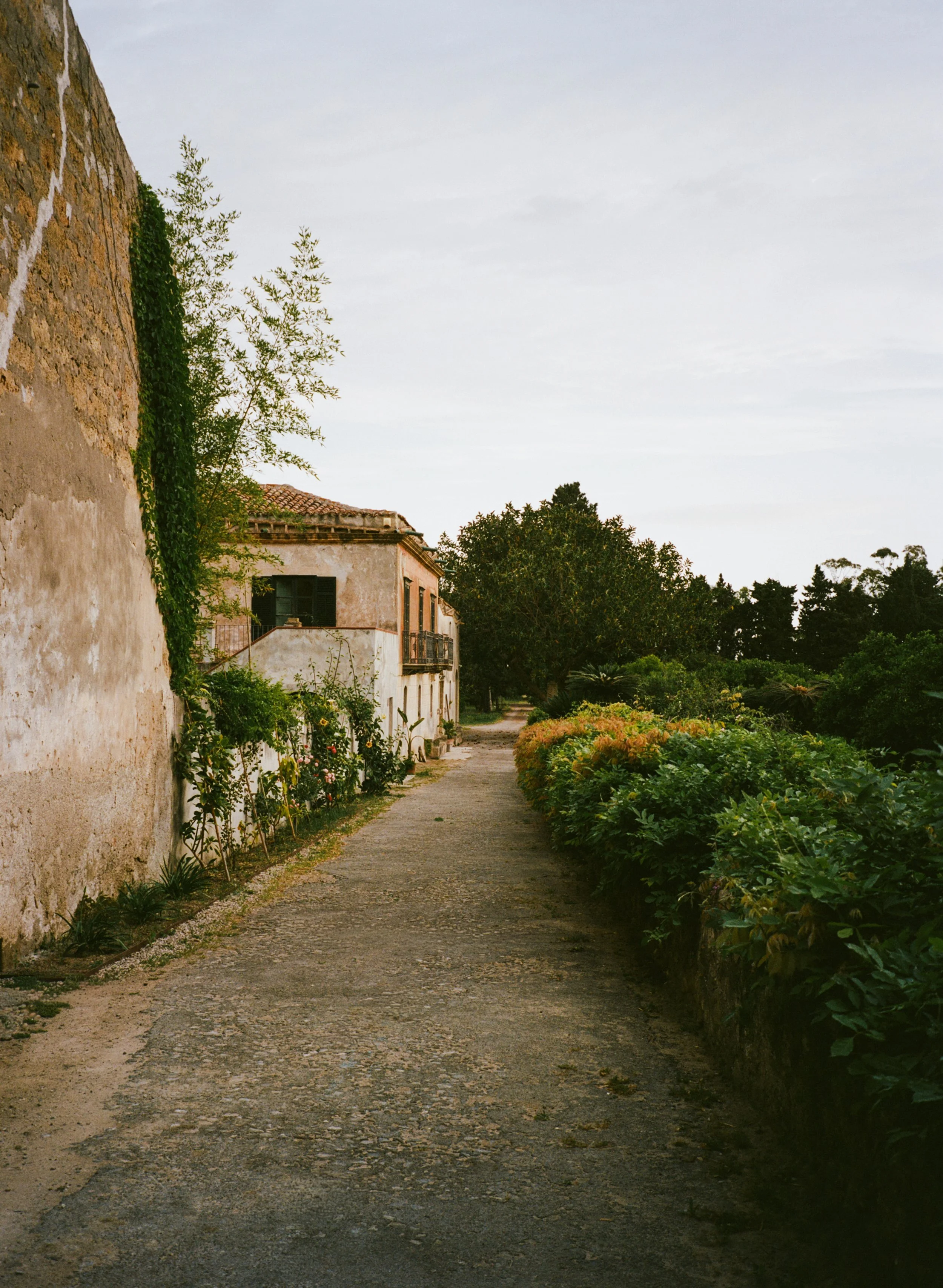VillaCatalfamo_Analog_RoschattAnna-40.jpg