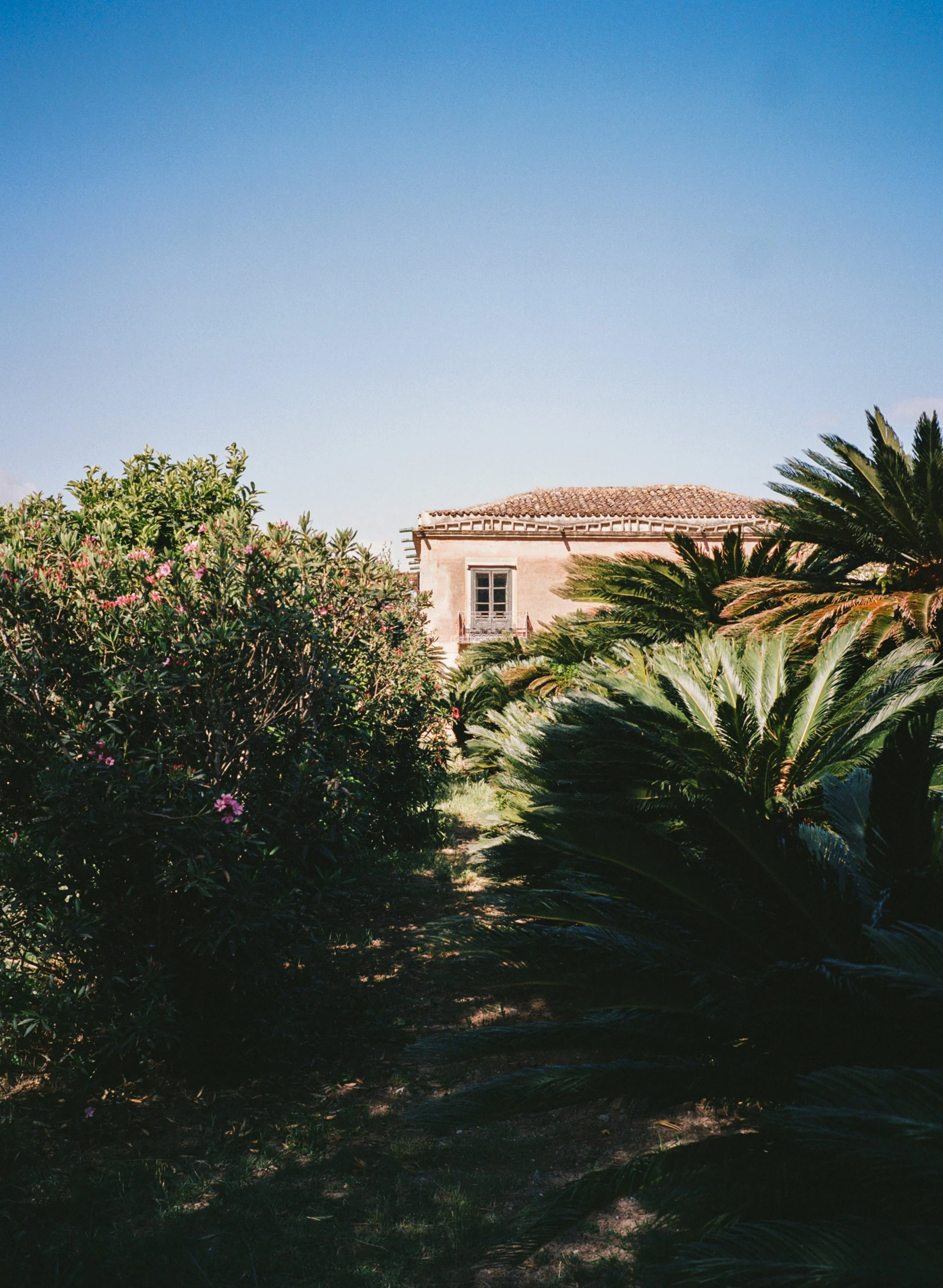 VillaCatalfamo_Analog_RoschattAnna-27.jpg