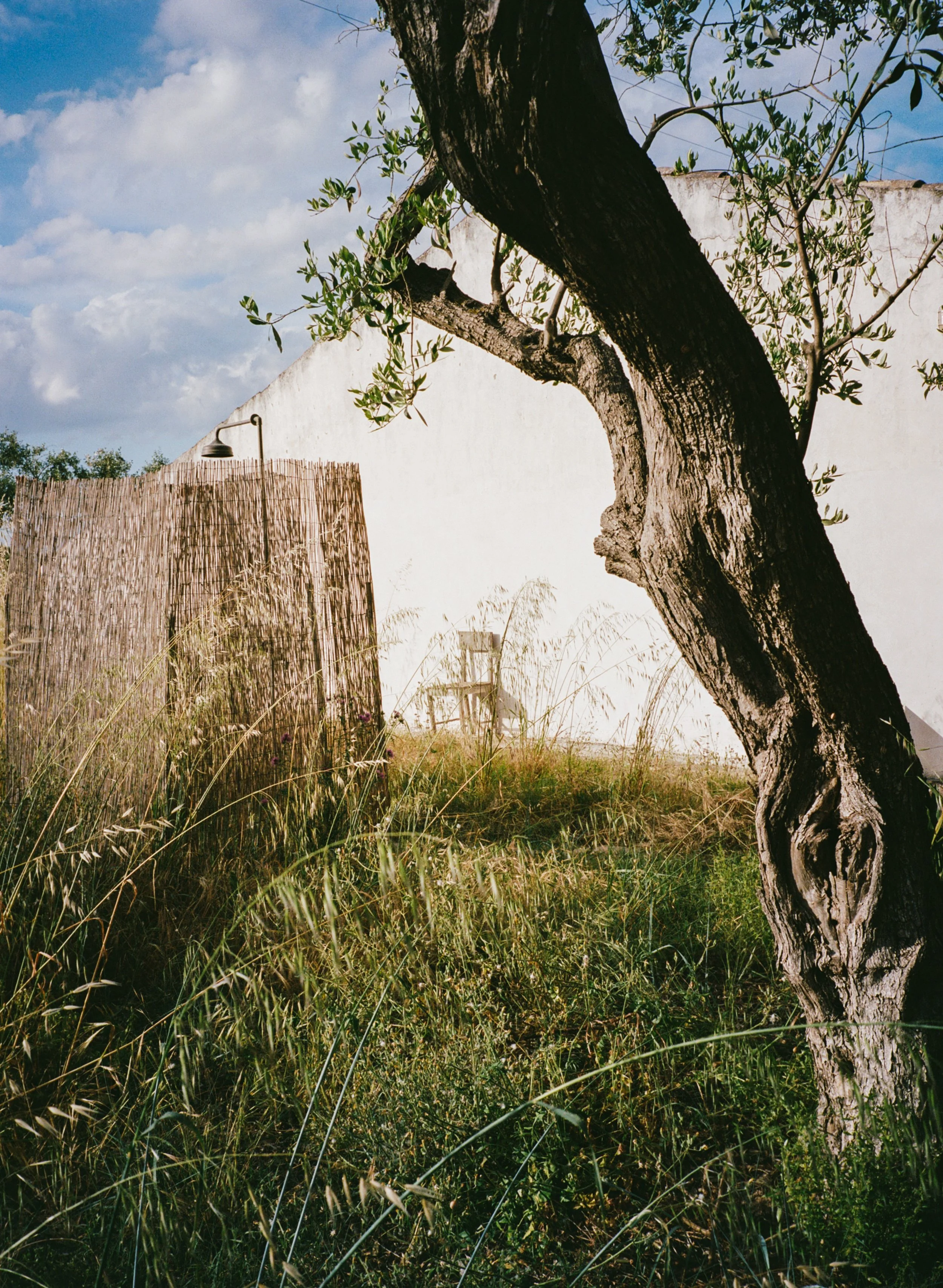 VillaCatalfamo_Analog_RoschattAnna-38.jpg