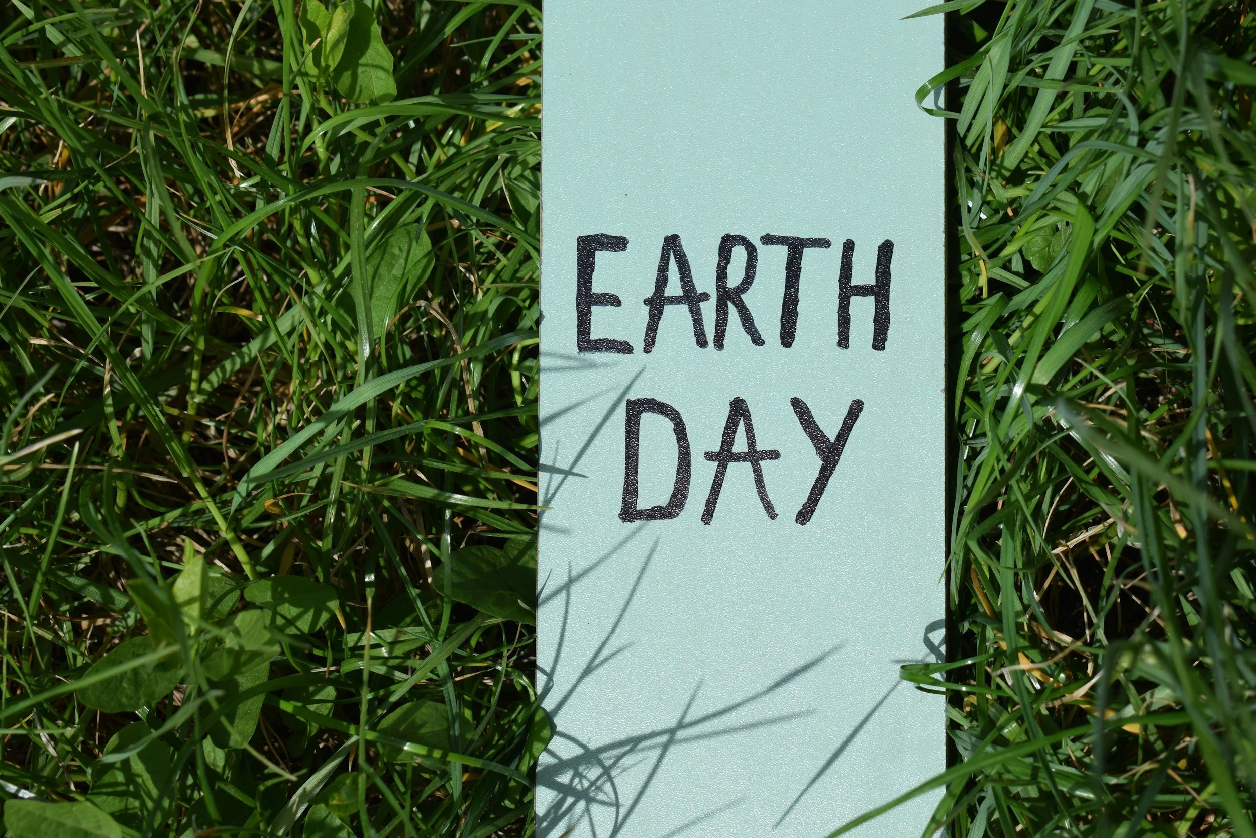 Earth Day Cleanup