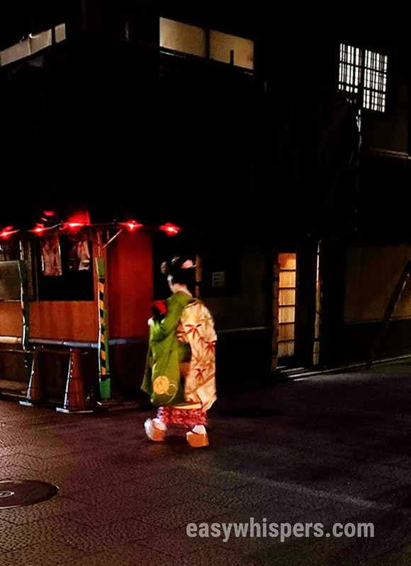 IMG_20260102_120029 wm.jpg