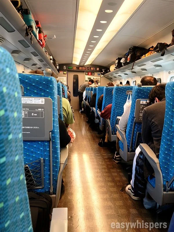 IMG_20260316_180300 - wm.jpg