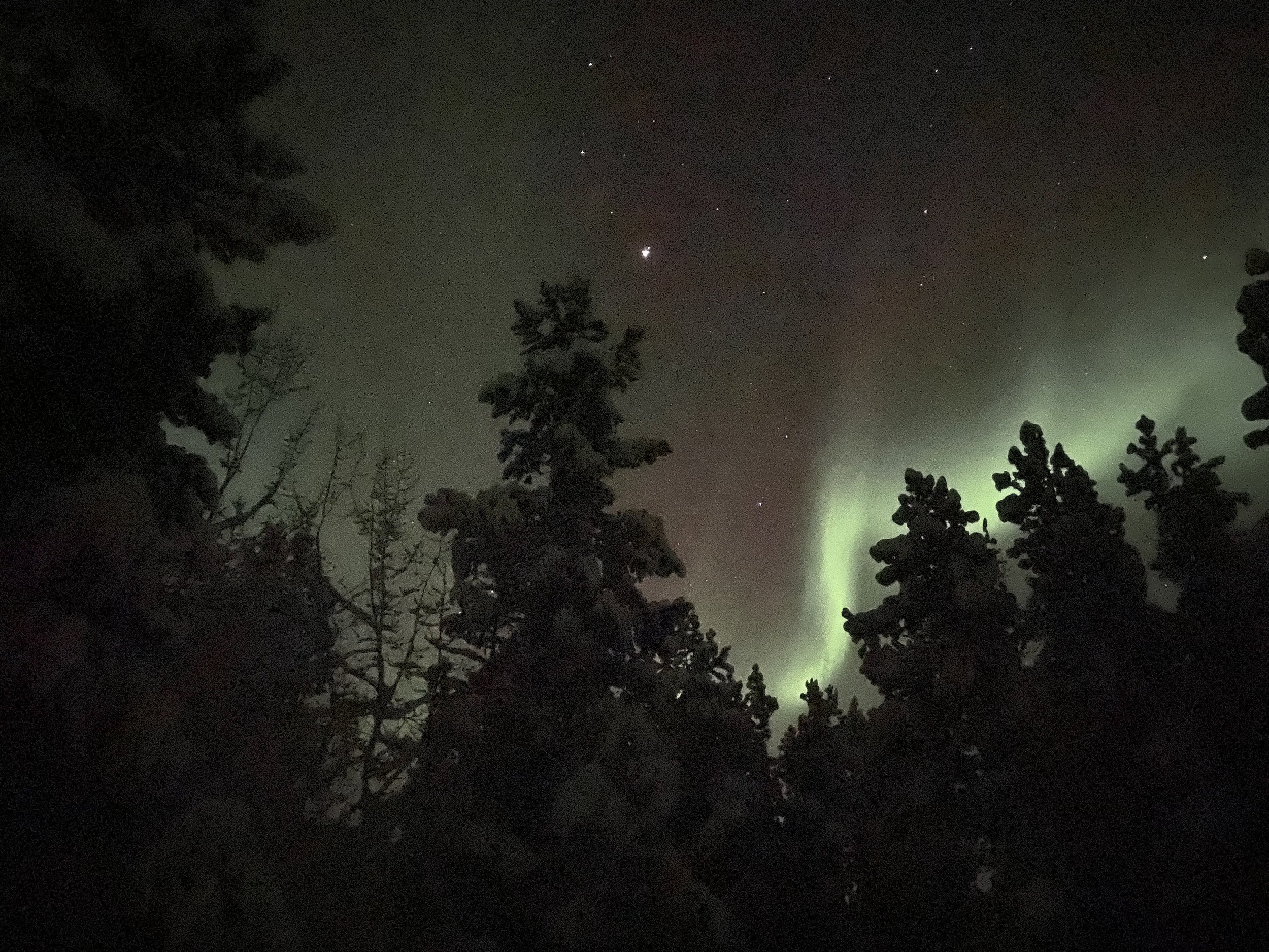 Introduction to the industry | 1-day, 4 hours | 2026 Feb 20 (in-person)