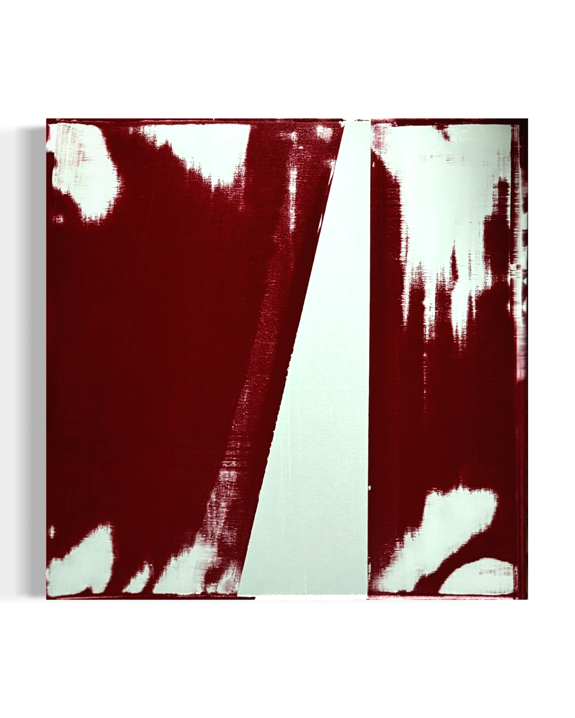 IMG_3064.png