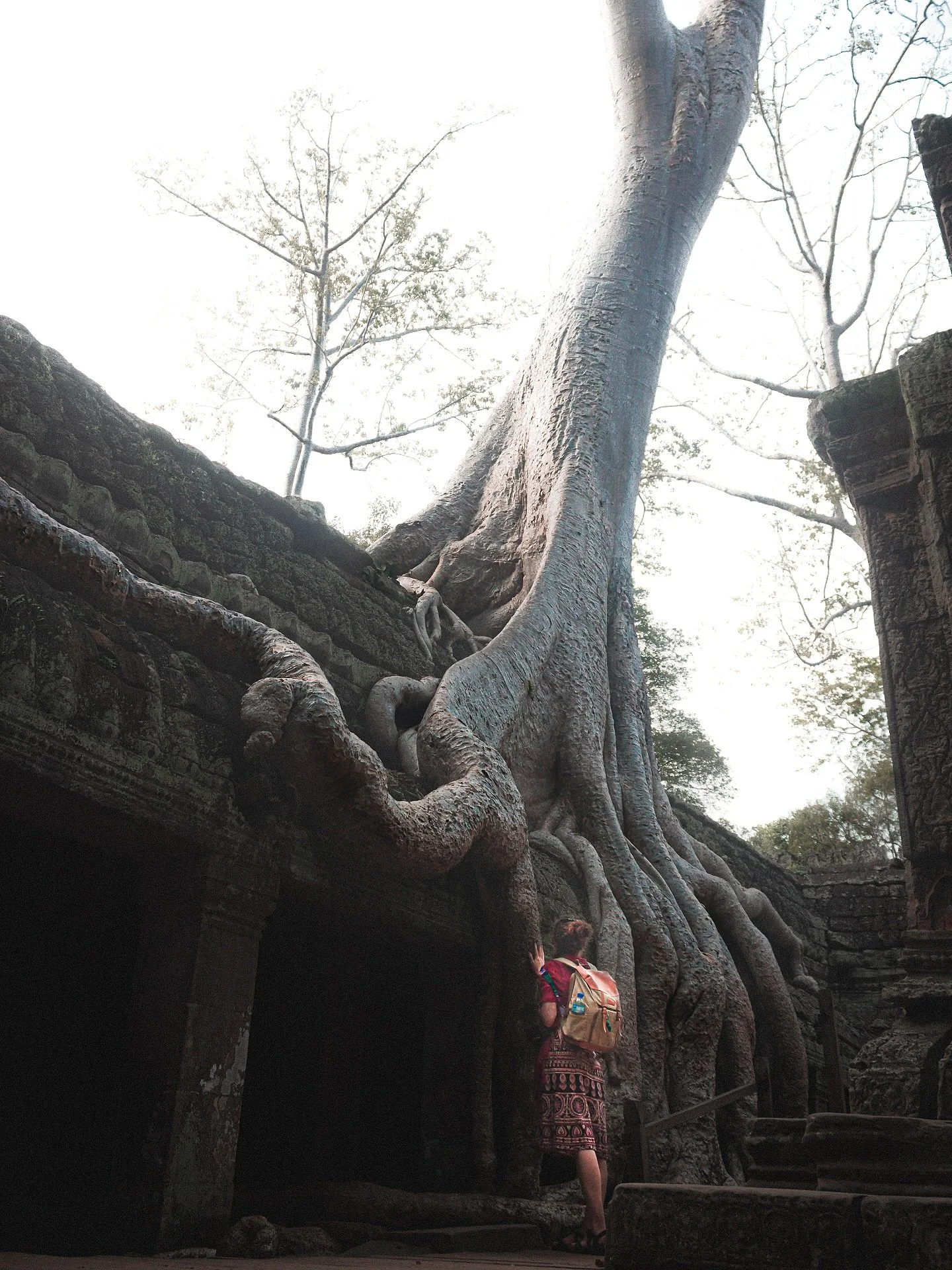 Entre as ru&iacute;nas ancestrais de Ta Prohm, no Camboja, a natureza reclama o seu espa&ccedil;o com uma paci&ecirc;ncia que transcende o tempo humano. As ra&iacute;zes desta &aacute;rvore estranguladora, envolvem as pedras como bra&ccedil;os antigo