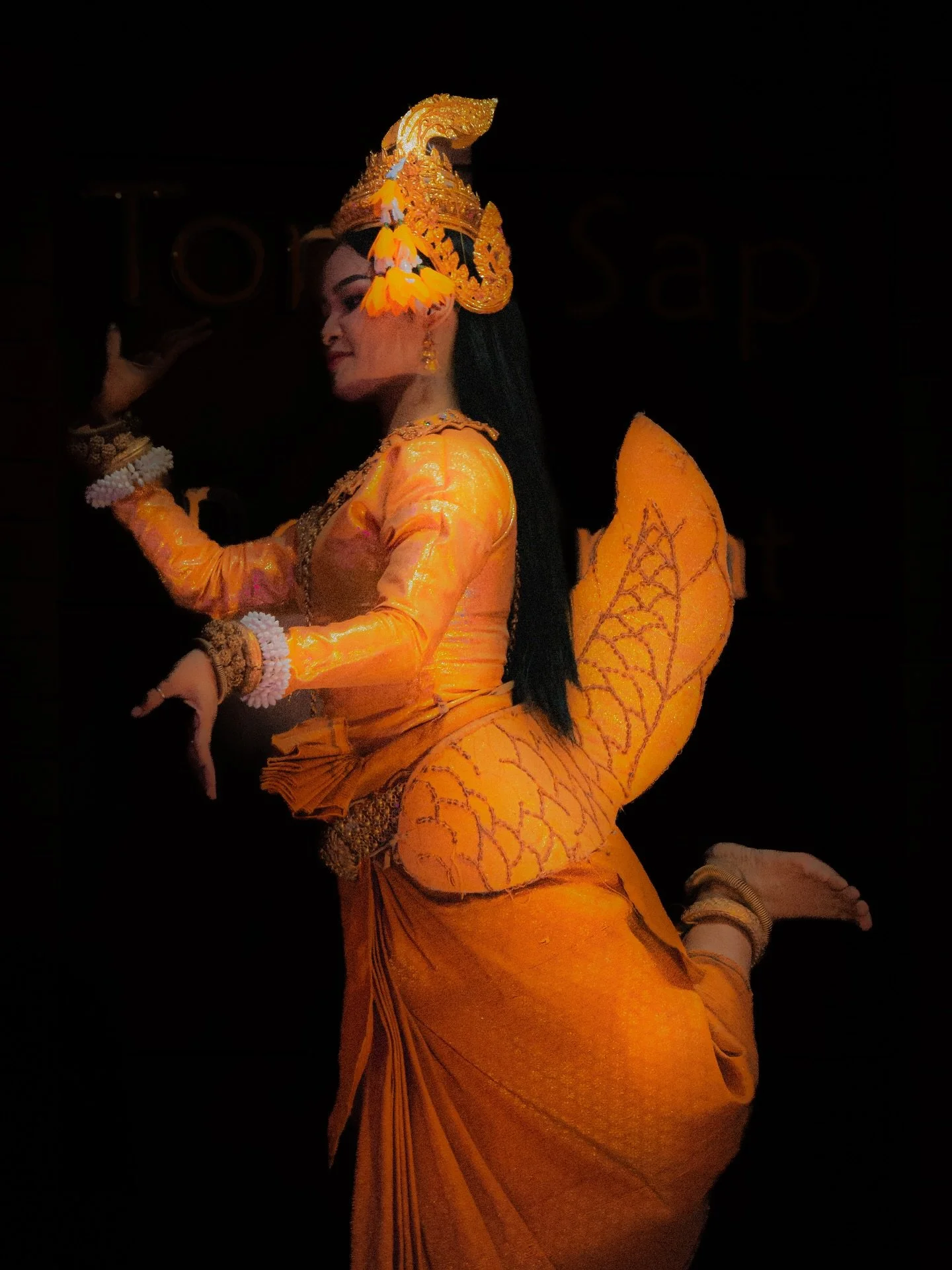 Apsara, esp&iacute;rito dan&ccedil;ante dos c&eacute;us, renascida no corpo de uma artista cambojana.
Mais que dan&ccedil;a, ela &eacute; um elo vivo com o imp&eacute;rio de Angkor, onde templos milenares eternizaram suas poses em pedra.

Com dedos c