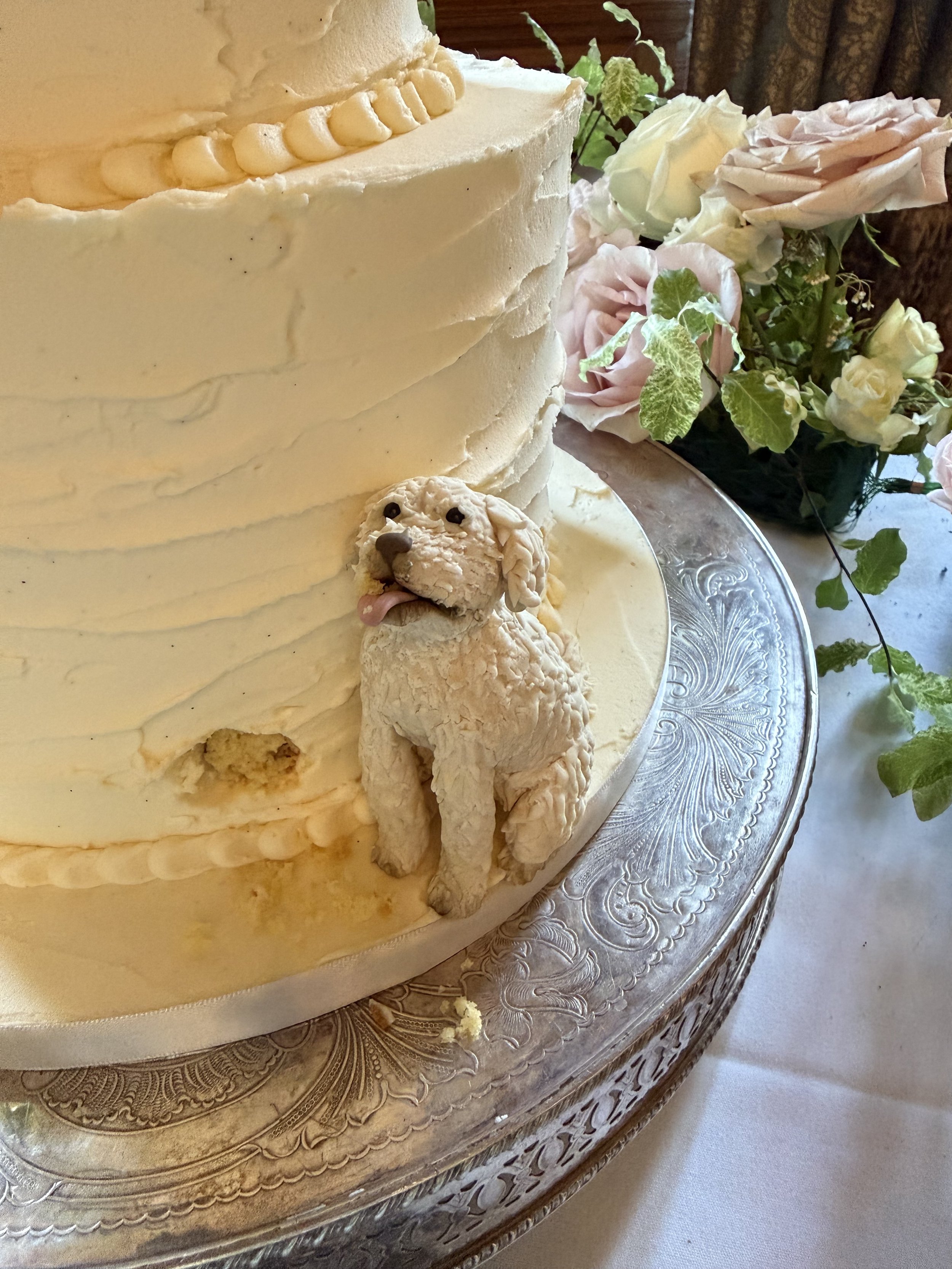 Labradoodle cake figurine seated at the base of a buttercream wedding cake, nibbling the side of the cake