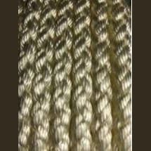 nautilus multiplait.jpg