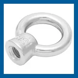S3061 M6 316 EYE NUT