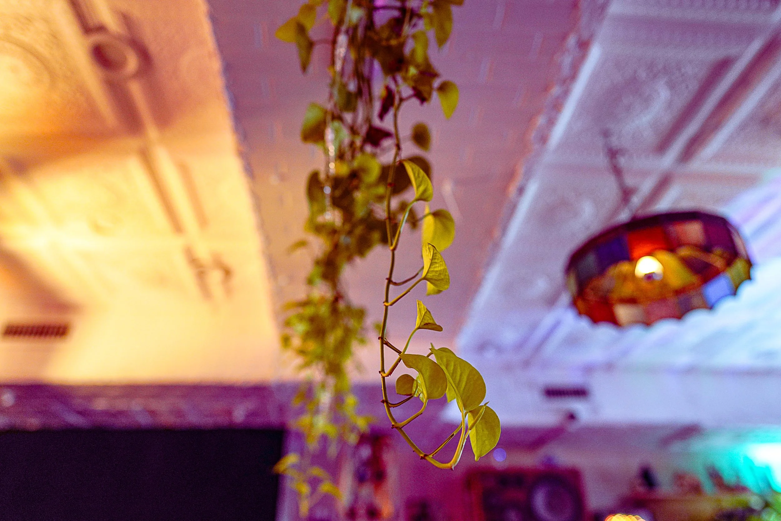 DSC05188.jpg