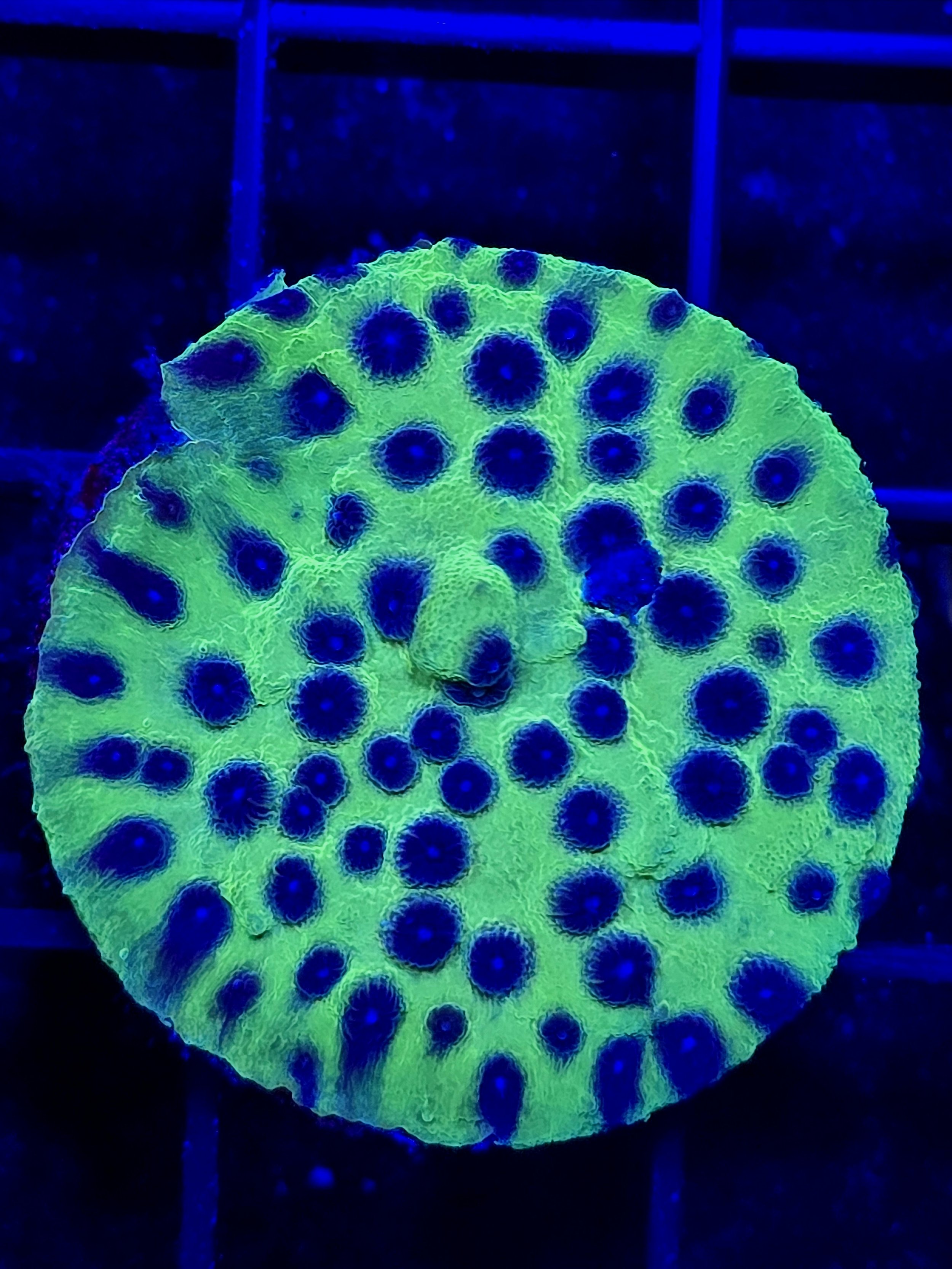 processed_63076e5fe94640c280acf254cb21637d.jpeg