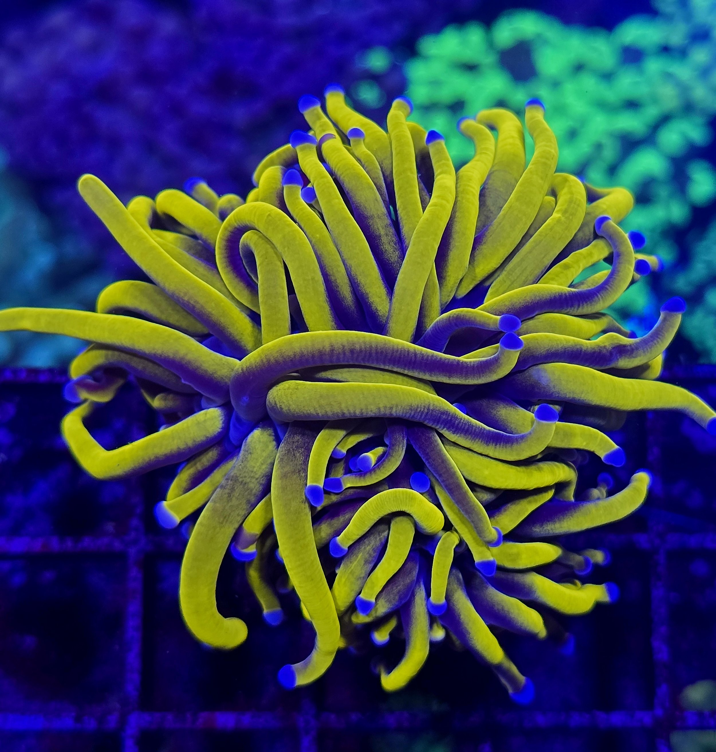 processed_f922ecd3d93643d7a716ea2d1d61b084.jpeg