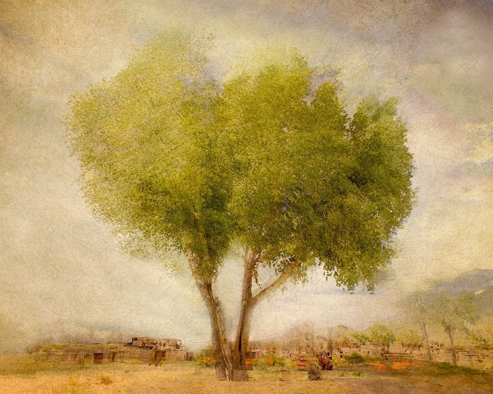 20250525-DSCF8781-Edit-Edit-2 - Lynn Helbrecht.jpg