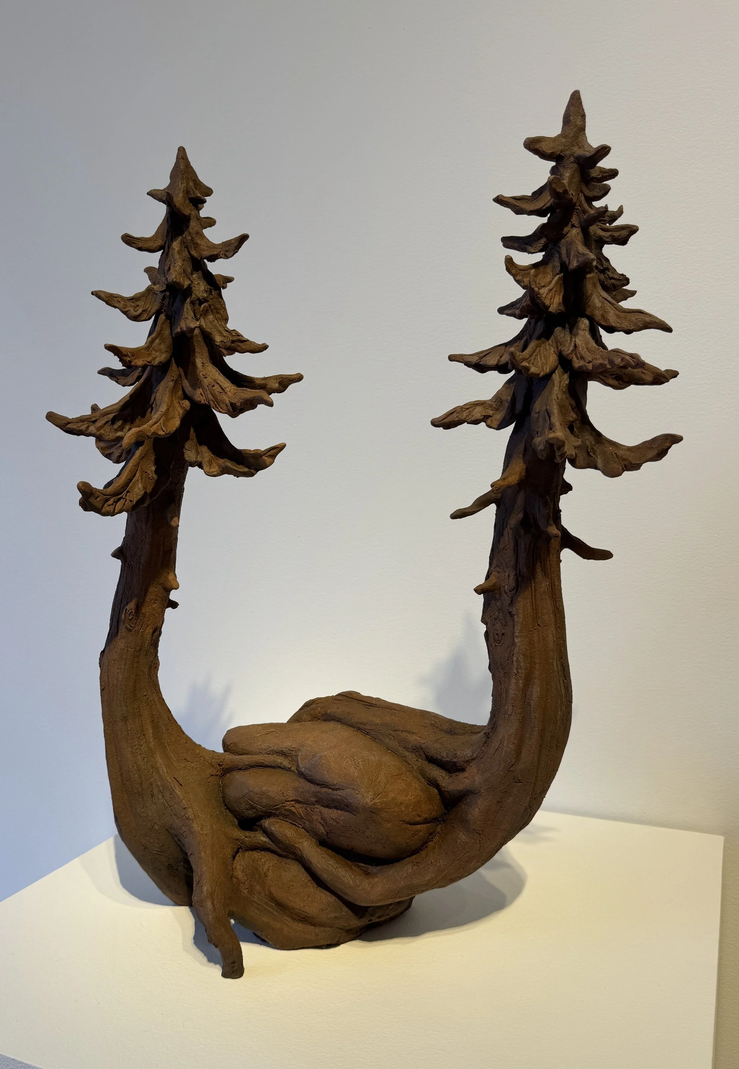 Intertwined Smaller - Aisha Harrison.jpeg