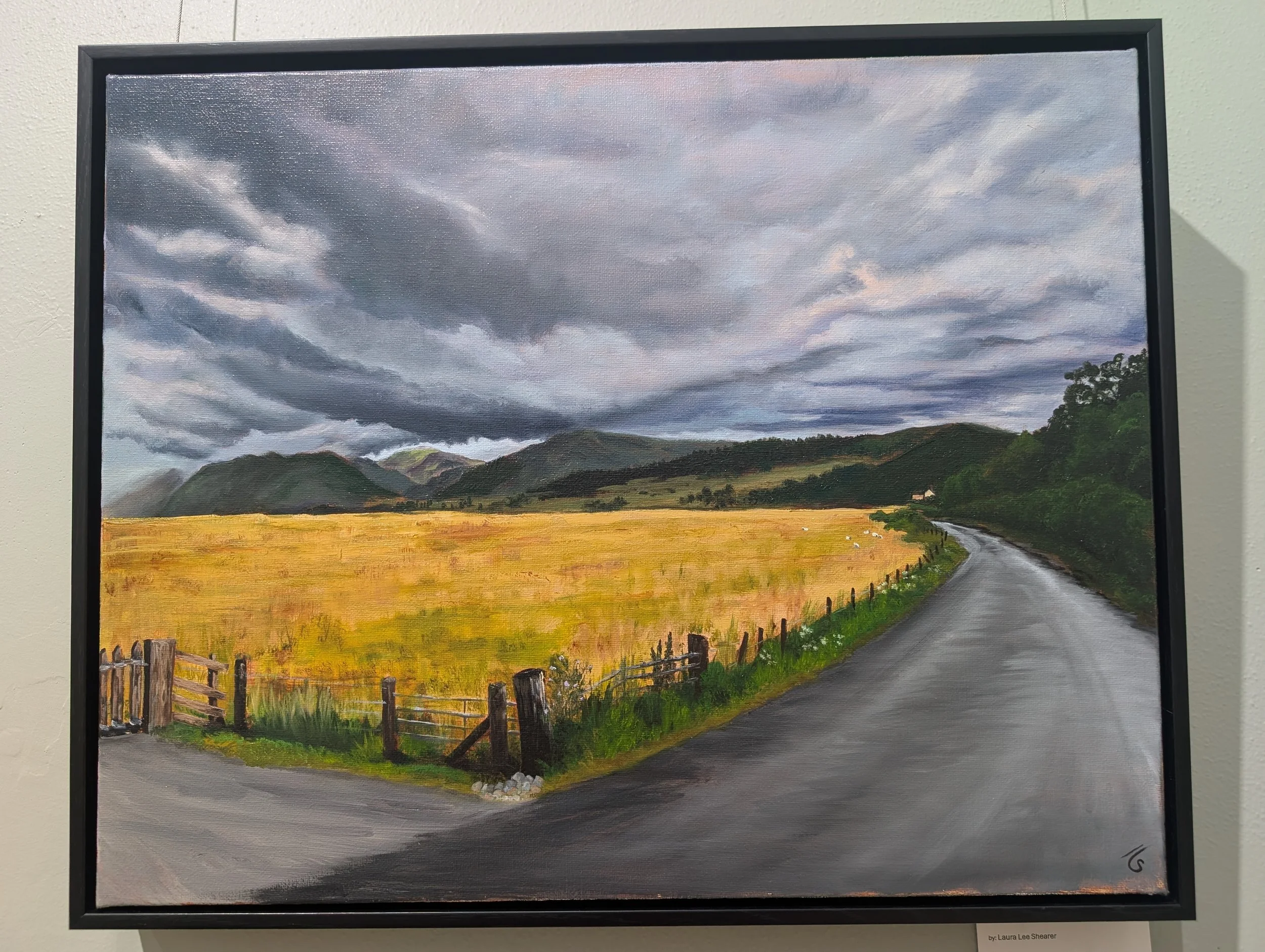 PXL_20251110_234641827 - Laura Shearer.jpg