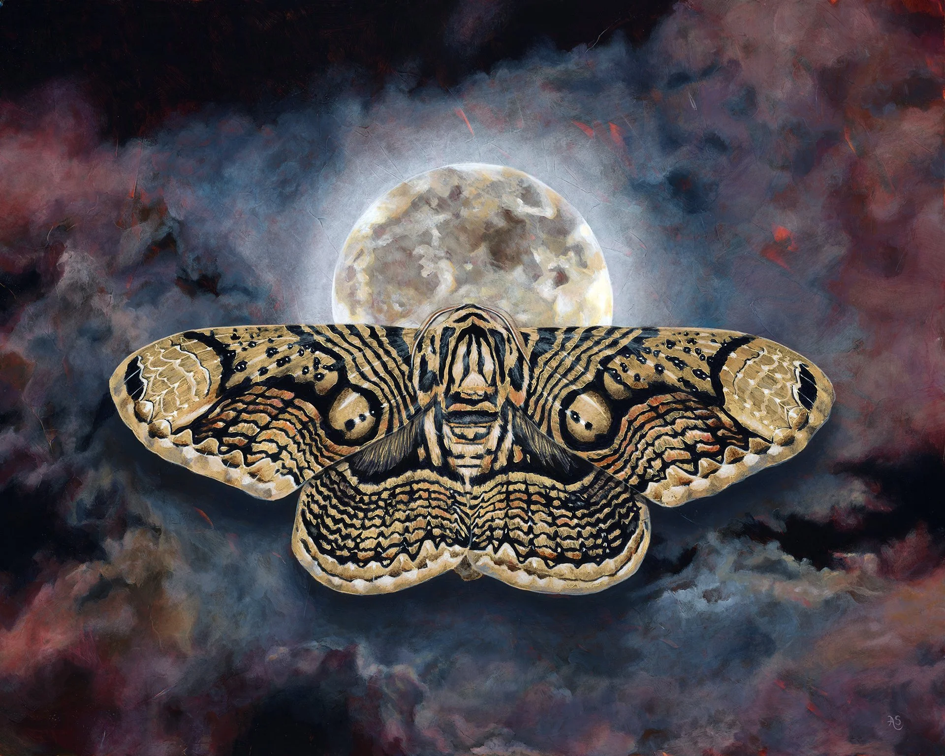 beyond-owl-moth-aimee-schreiber - Aimee.jpg