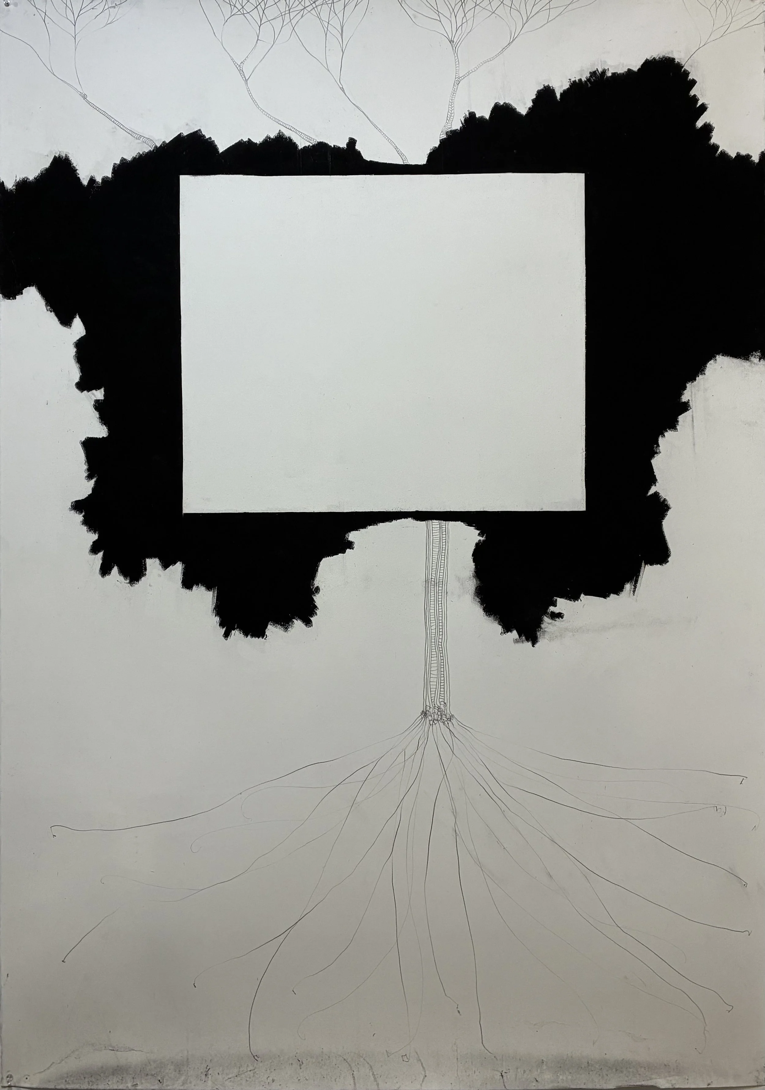 IMG_2810 - robroy chalmers.jpeg