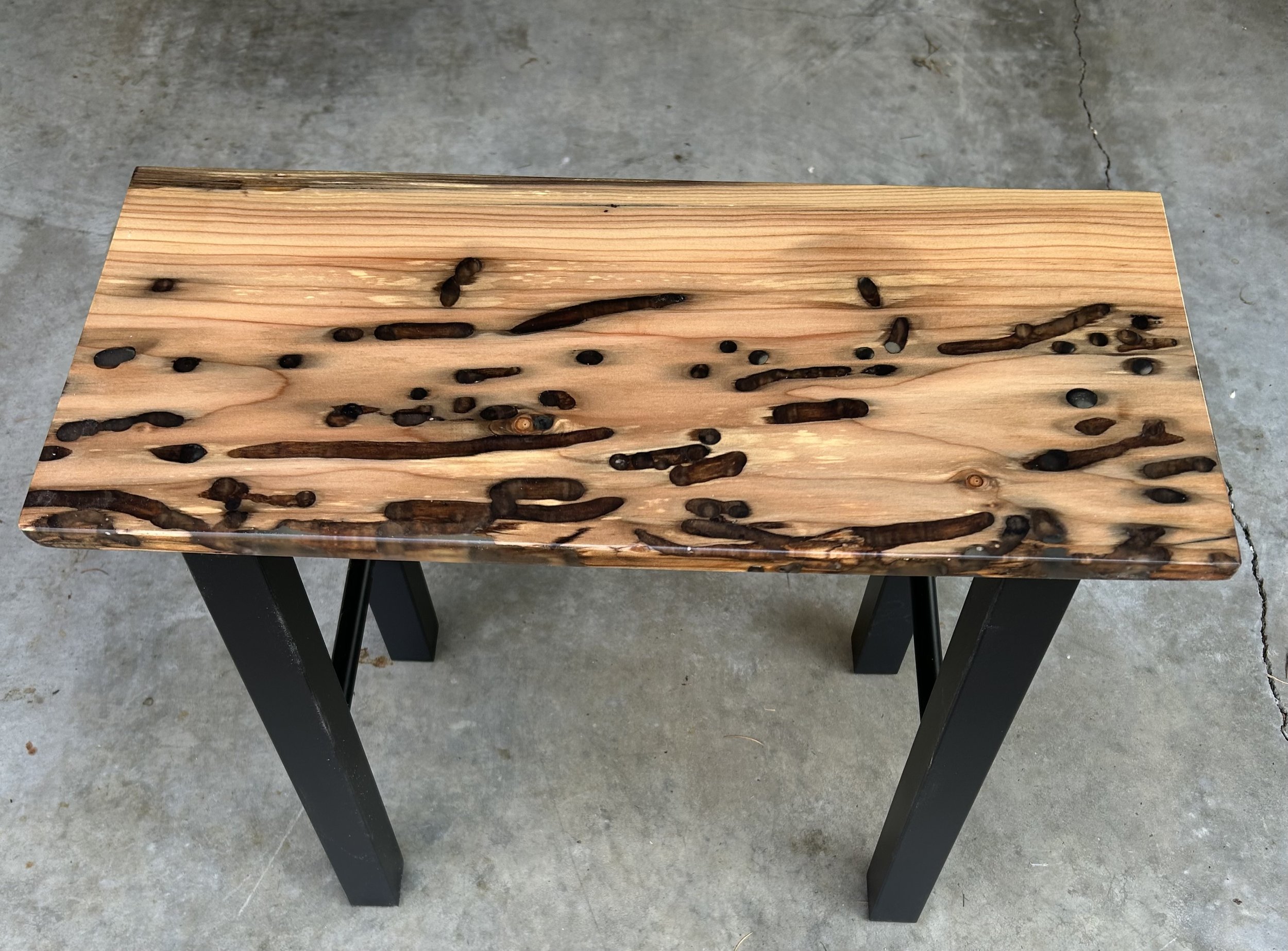 IMG_1726 - Patty Mitchell.jpeg