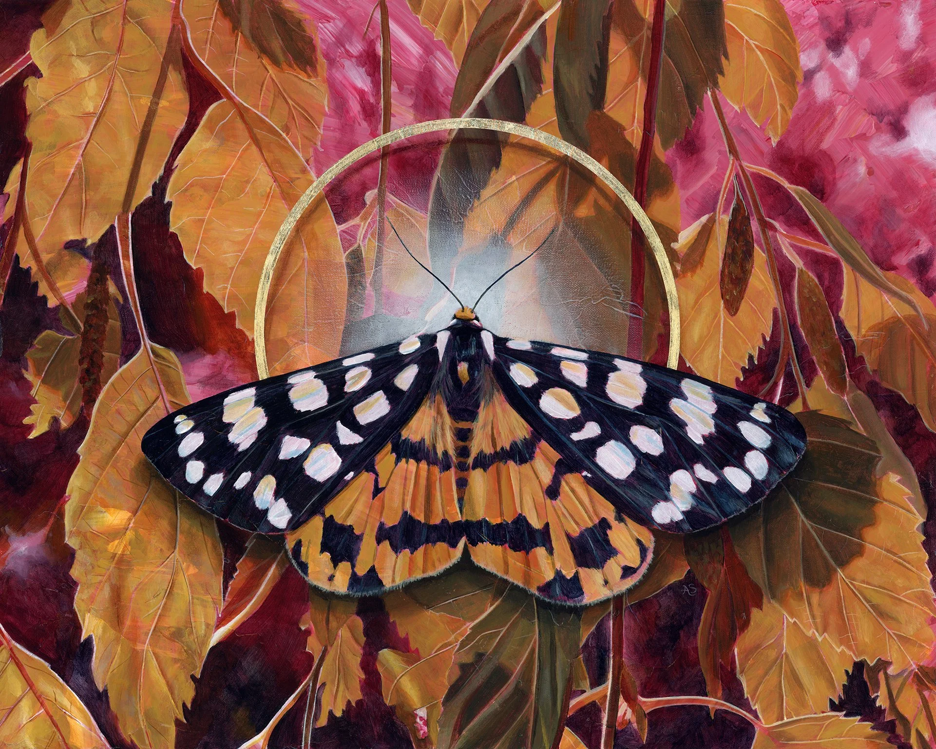 emanation-ranchman-tiger-moth-aimee-schreiber - Aimee.jpg