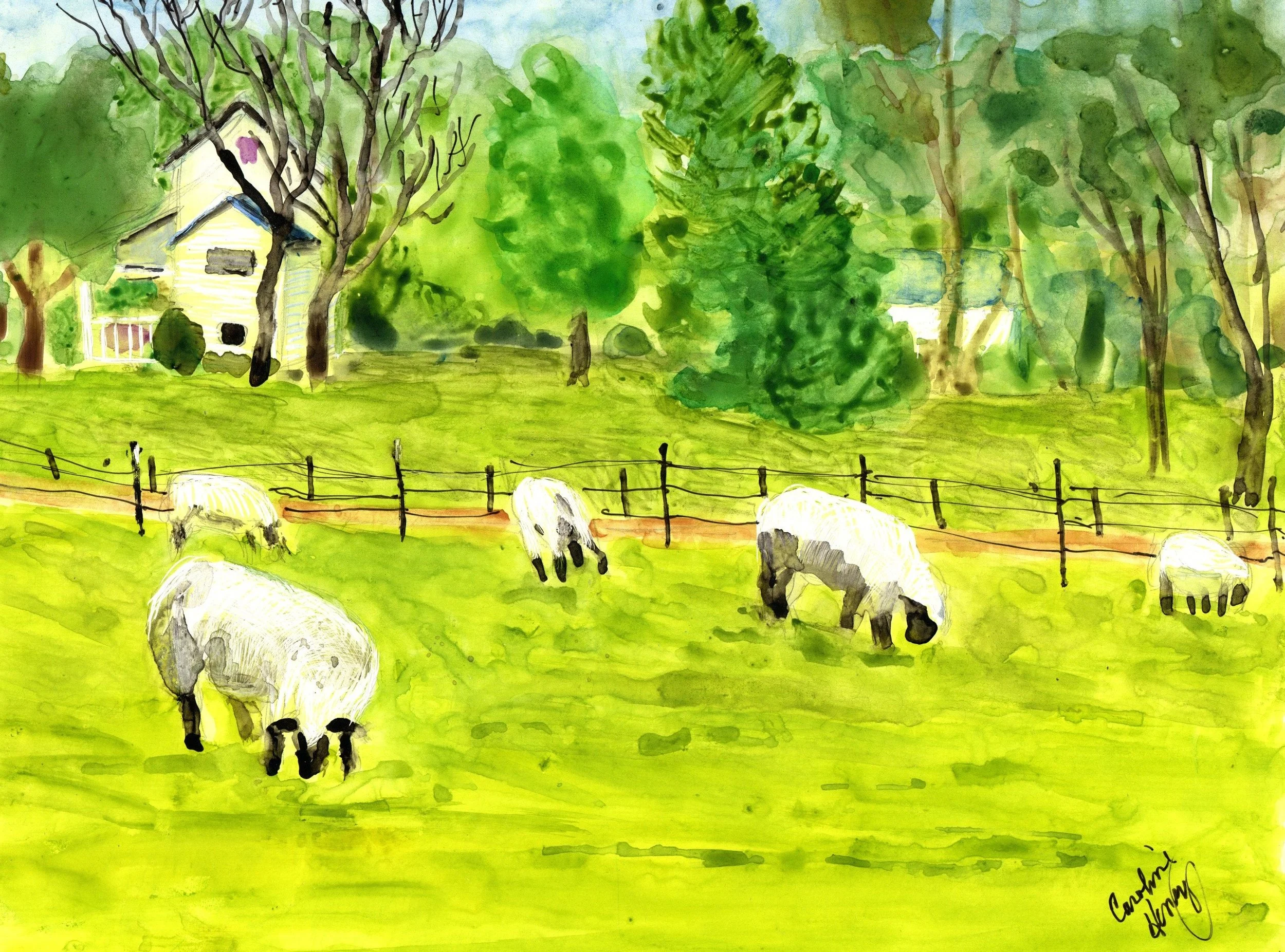 SheepGrazing - Caroline Henry.jpg