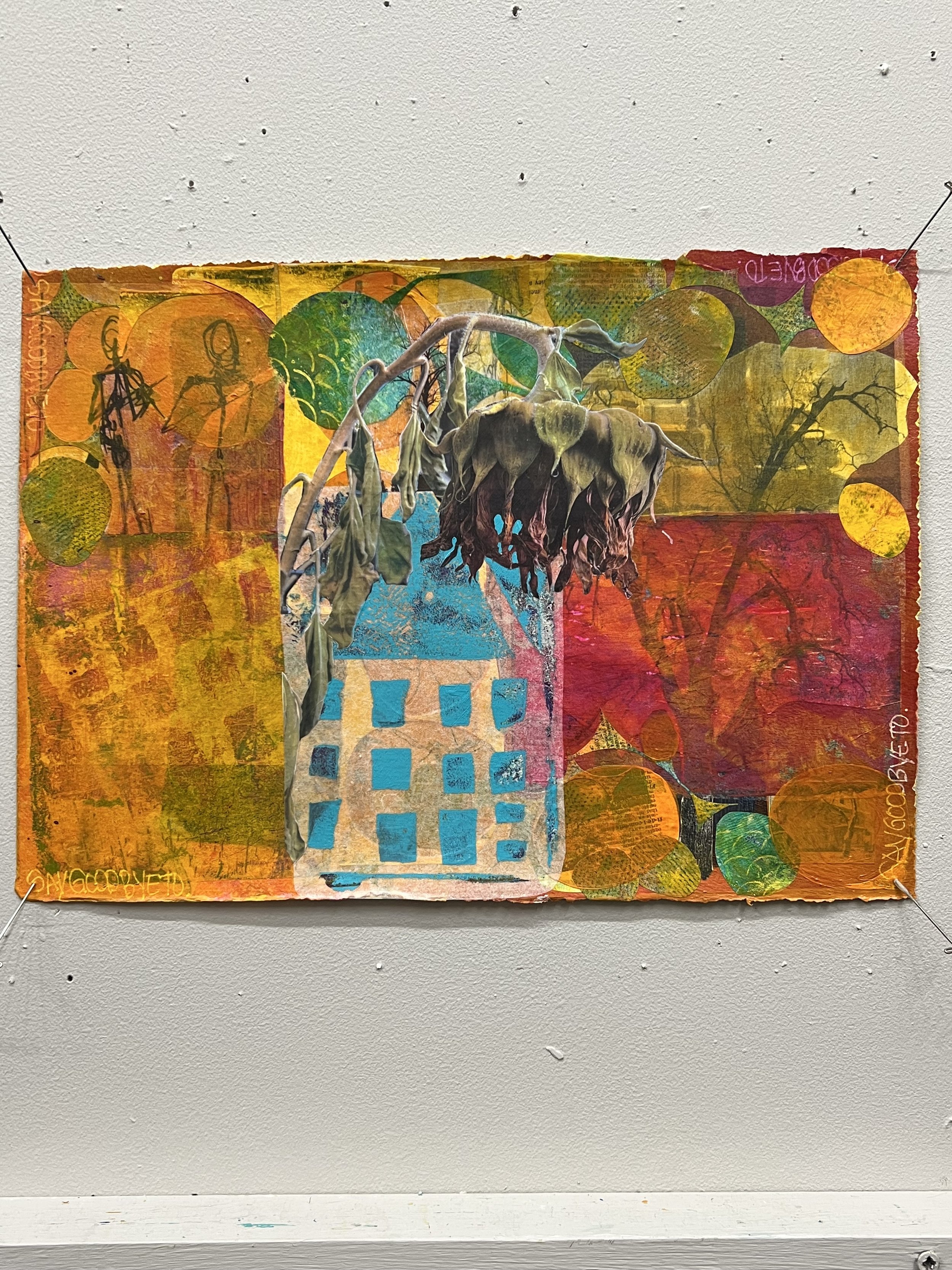 18 - Teri Bevelacqua