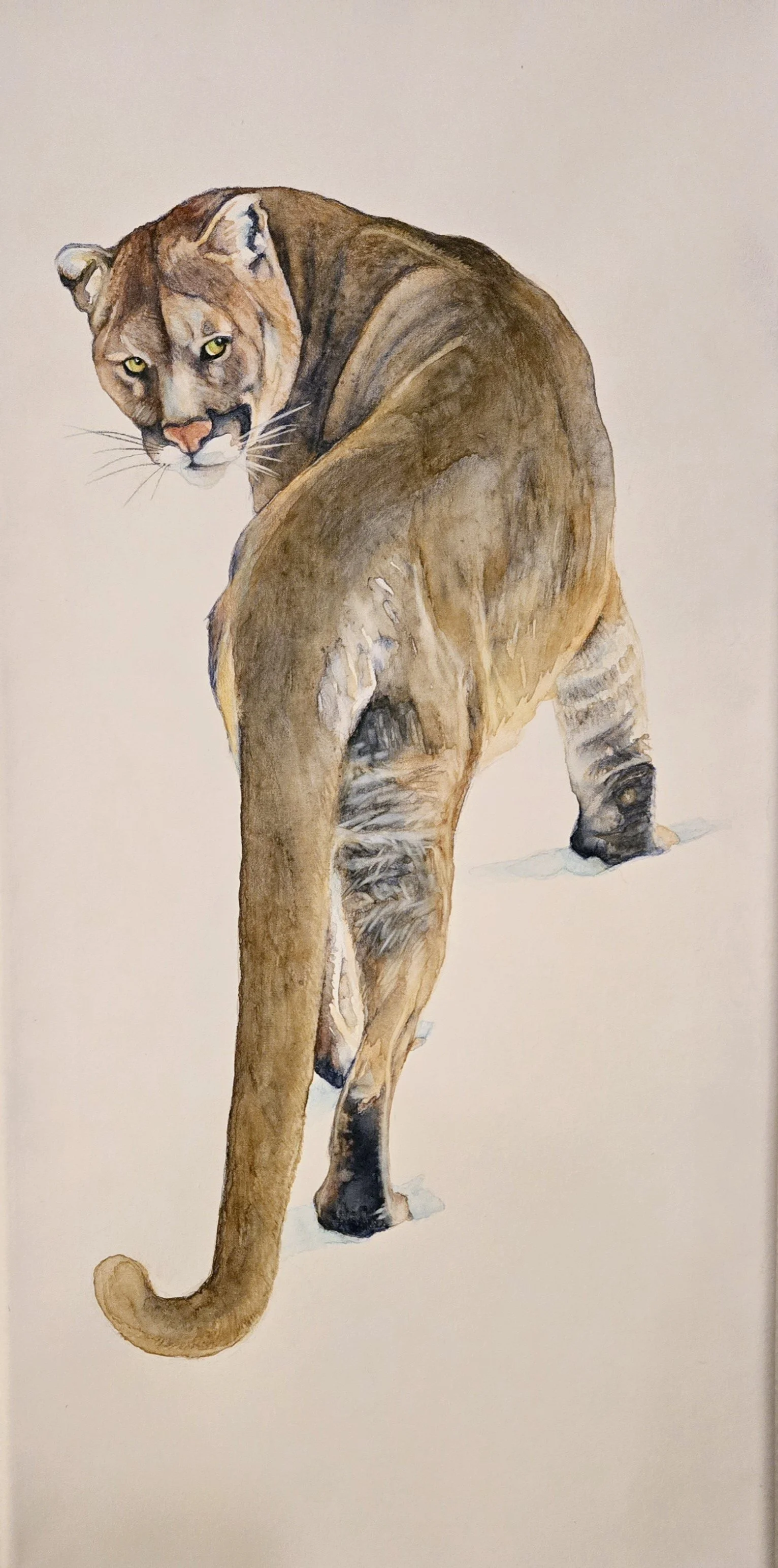 20250123_172707 - Heather Simons.jpg