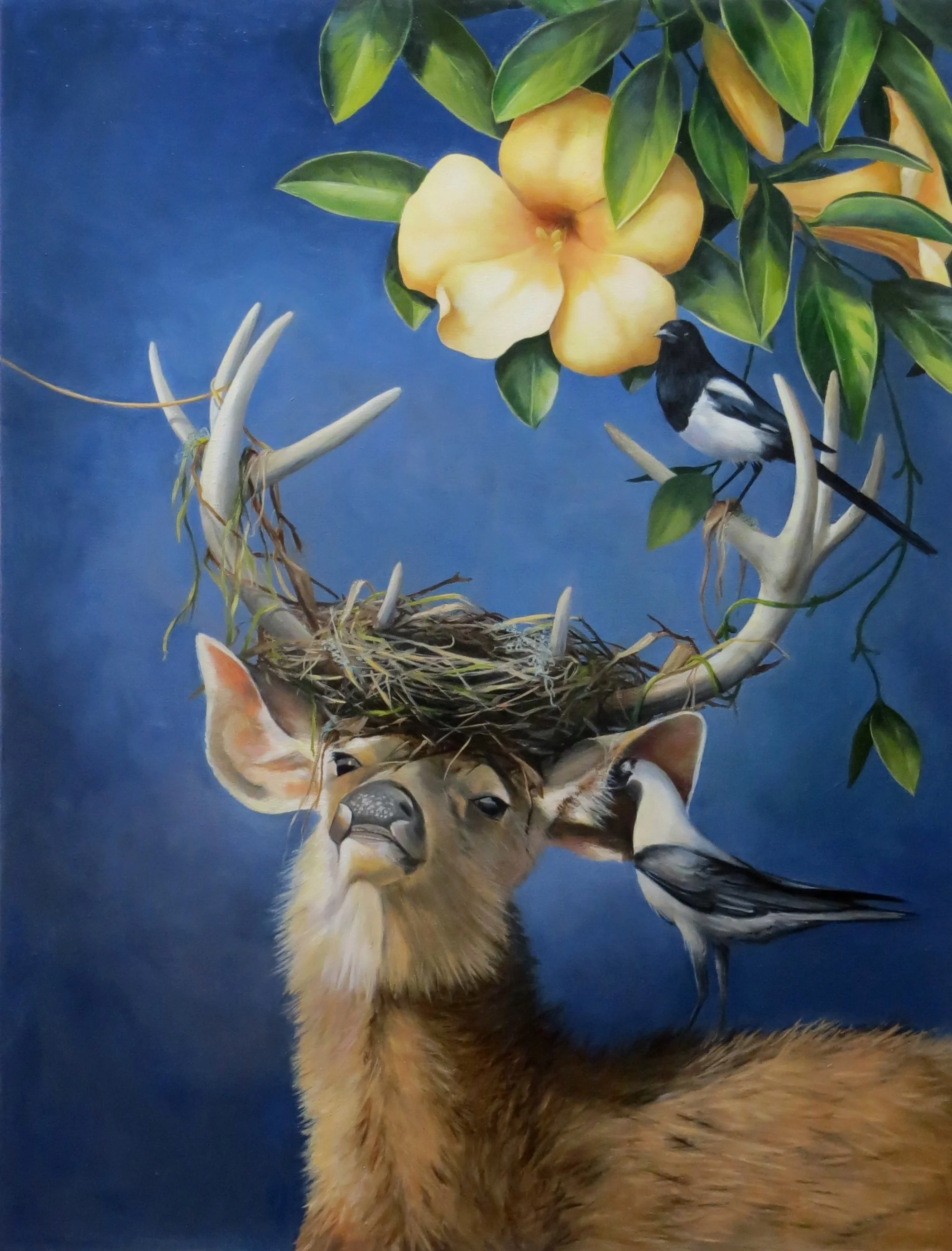 Stop #38 - Susan Aurand