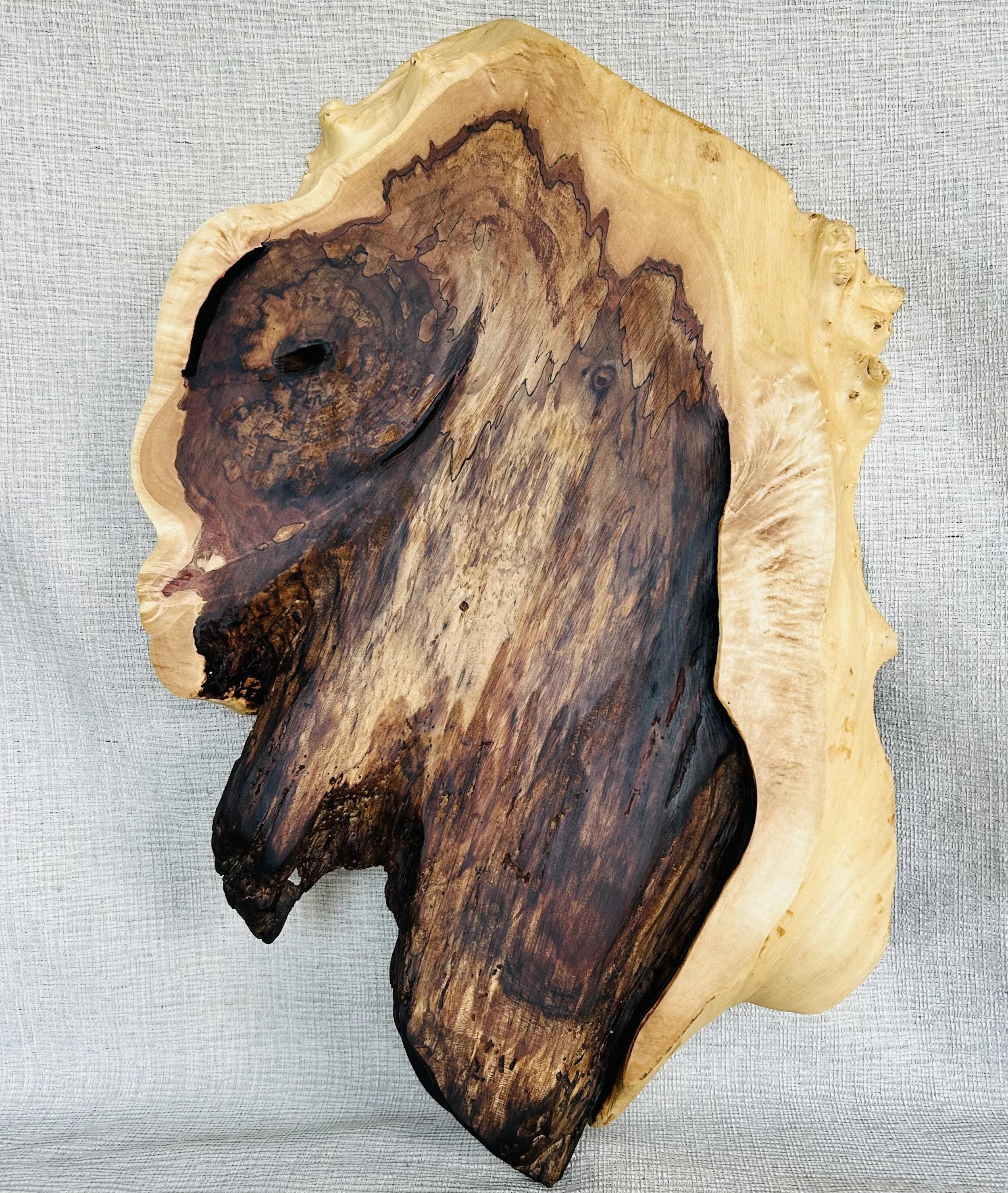 IMG_1375 - Patty Mitchell.jpeg