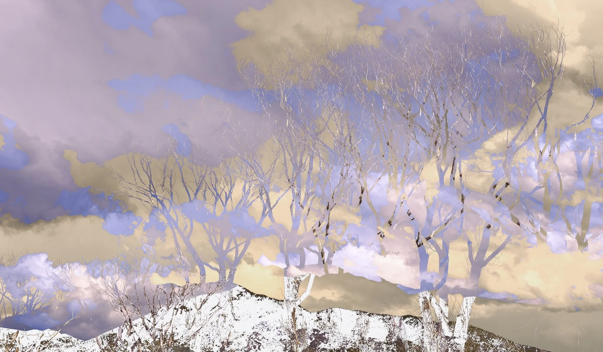 20250525-DSCF8640-Edit-2 - Lynn Helbrecht.jpg