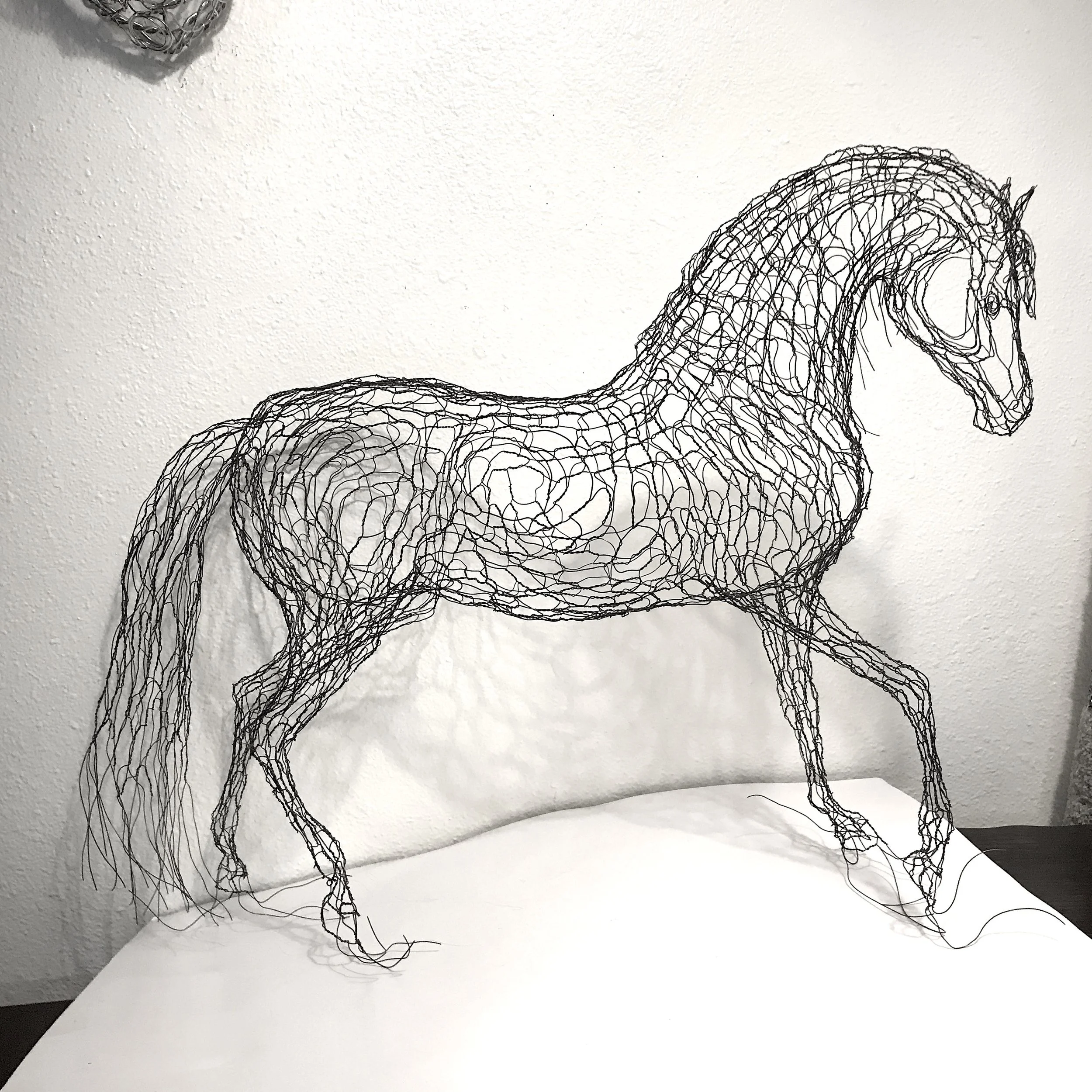 andalusian_horse - Elizabeth Berrien.jpeg