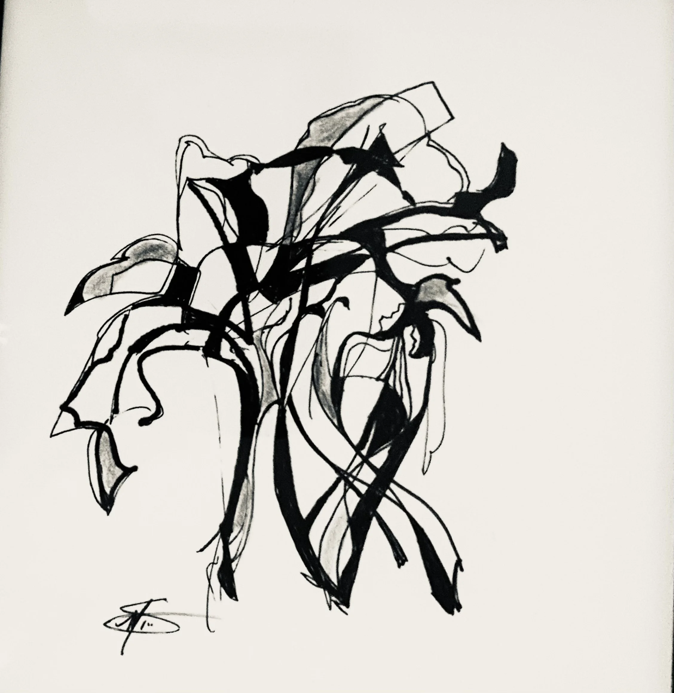 IMG_7117 - Mia Schulte.jpeg