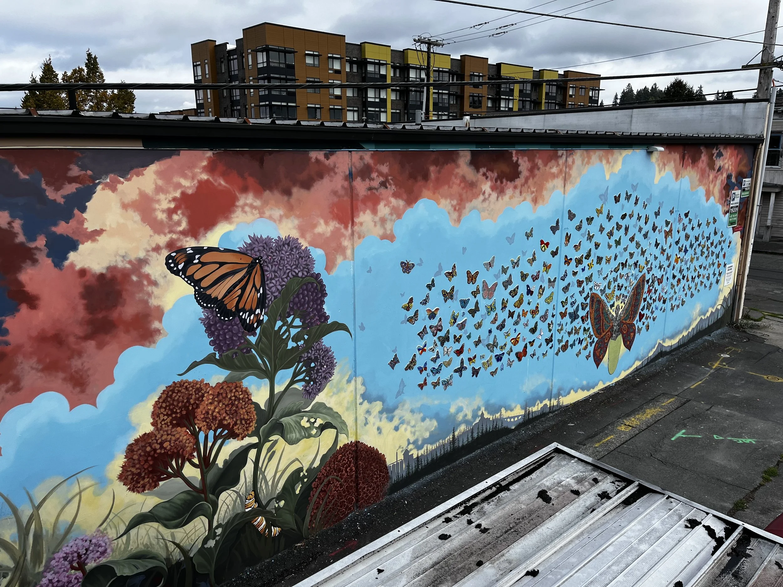 IMG_2495 - Austin.jpeg