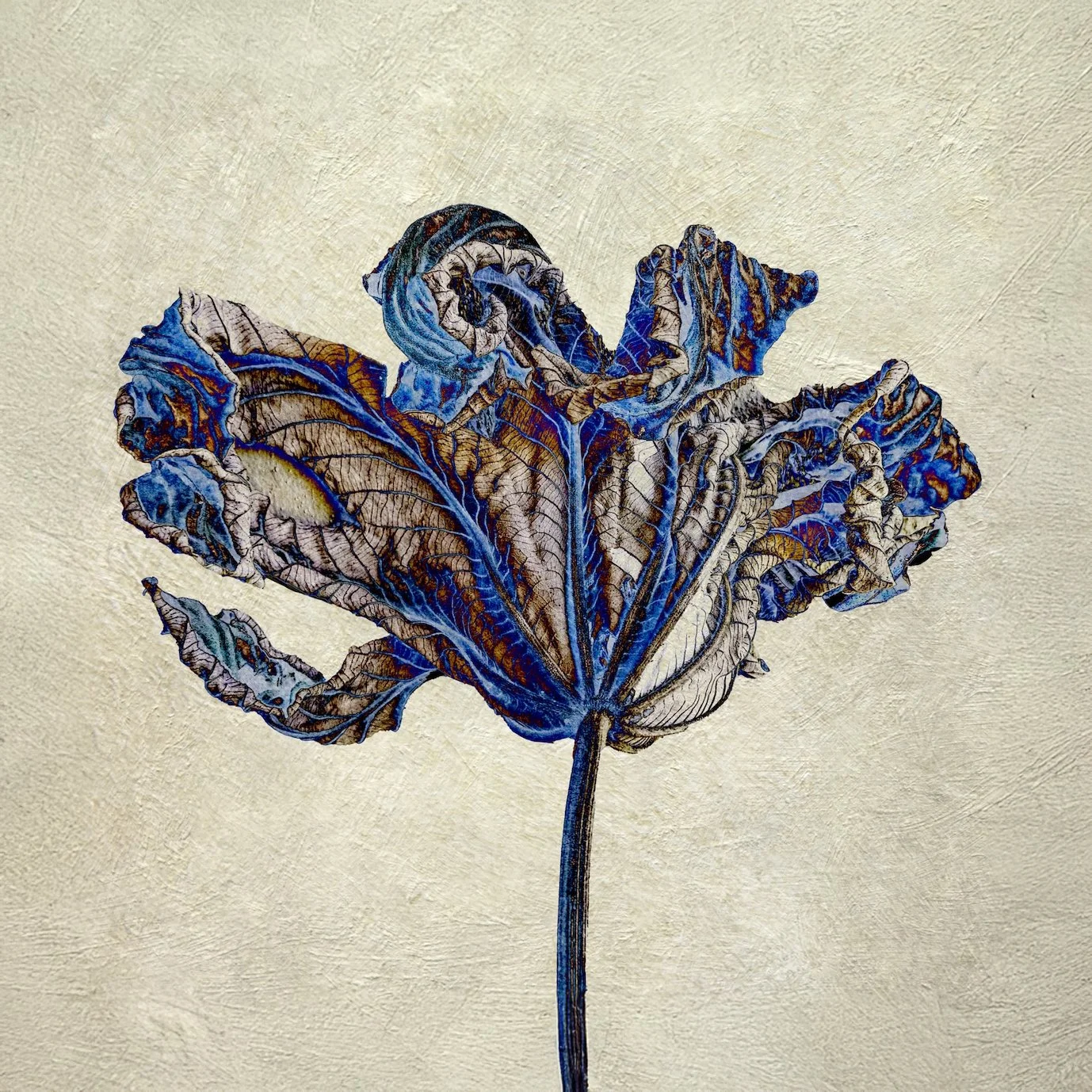 IMG_4629-Edit - Lynn Helbrecht.jpg